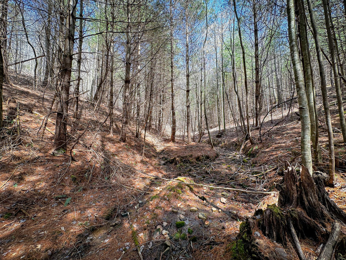 Willard Creek Ln, Stuart, Virginia image 11
