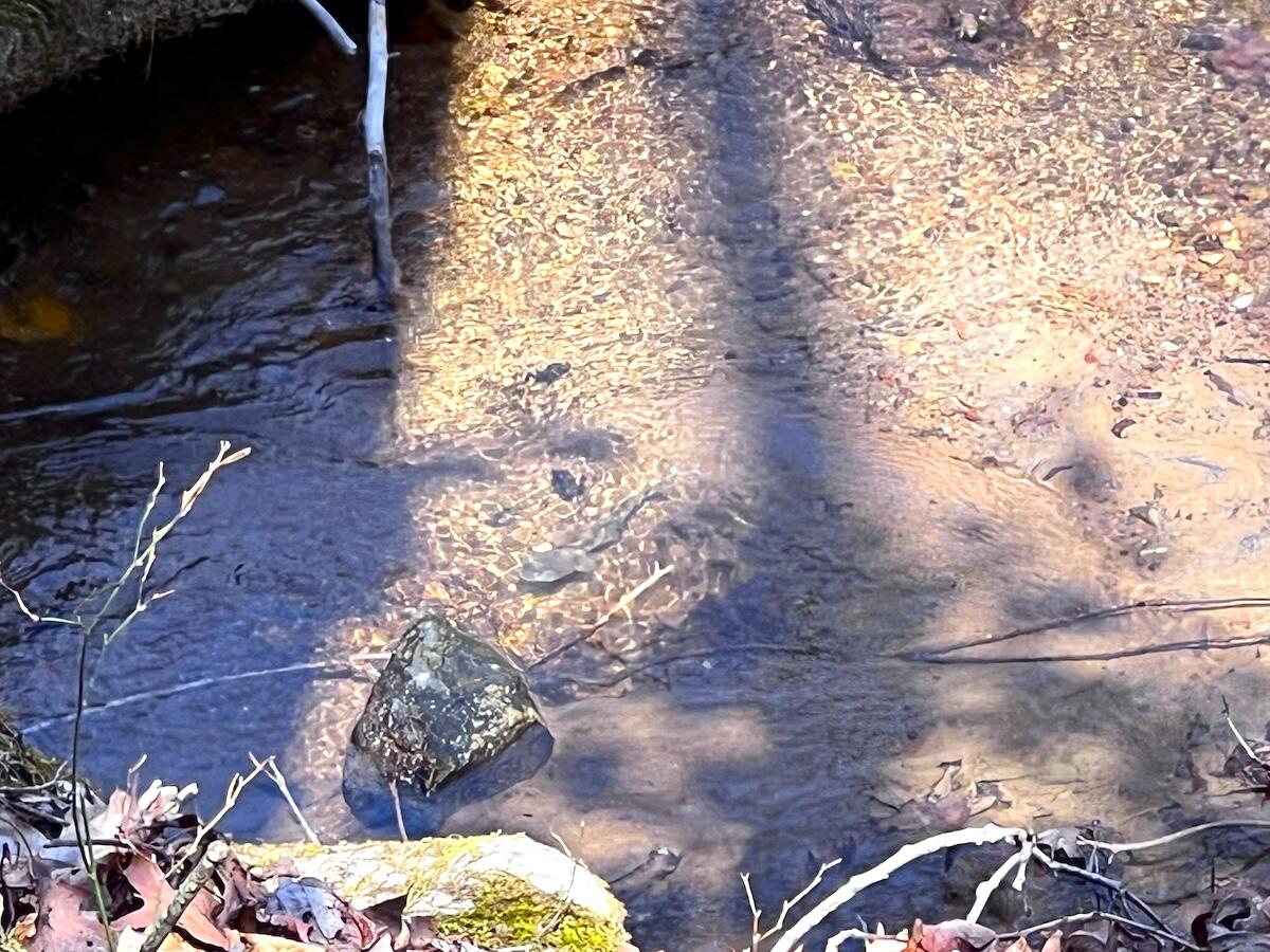 Willard Creek Ln, Stuart, Virginia image 19