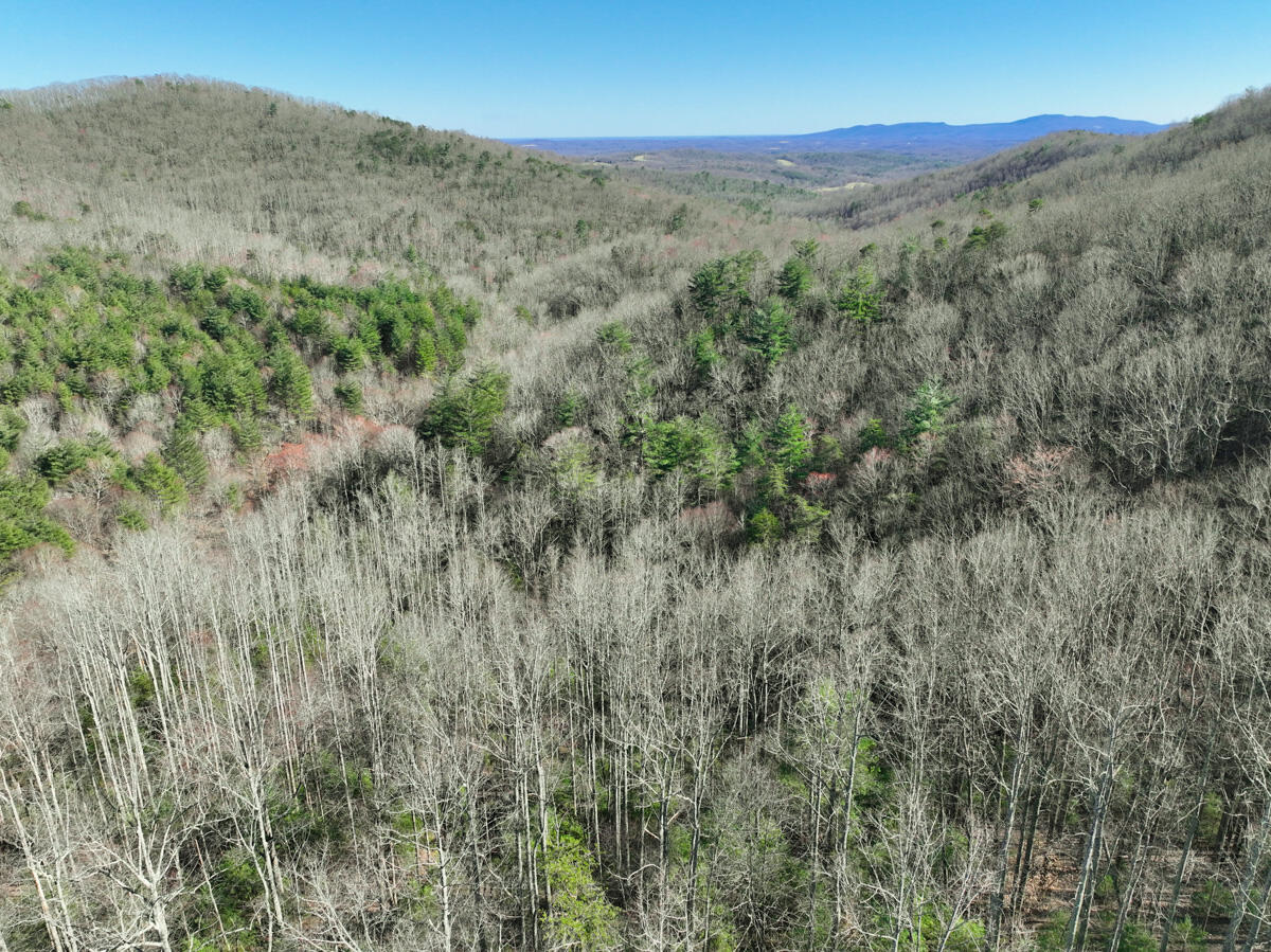 Willard Creek Ln, Stuart, Virginia image 44
