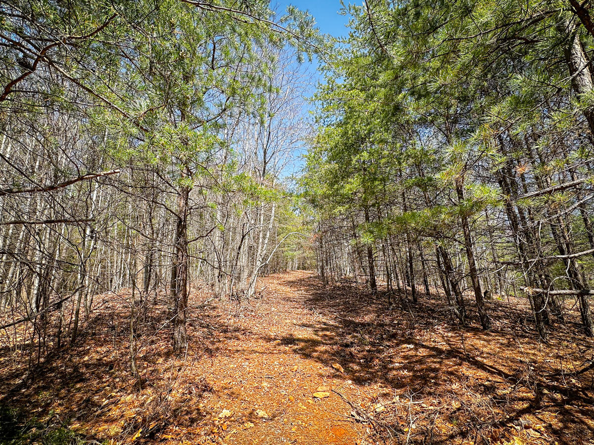 Willard Creek Ln, Stuart, Virginia image 31