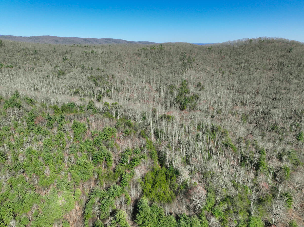 Willard Creek Ln, Stuart, Virginia image 4