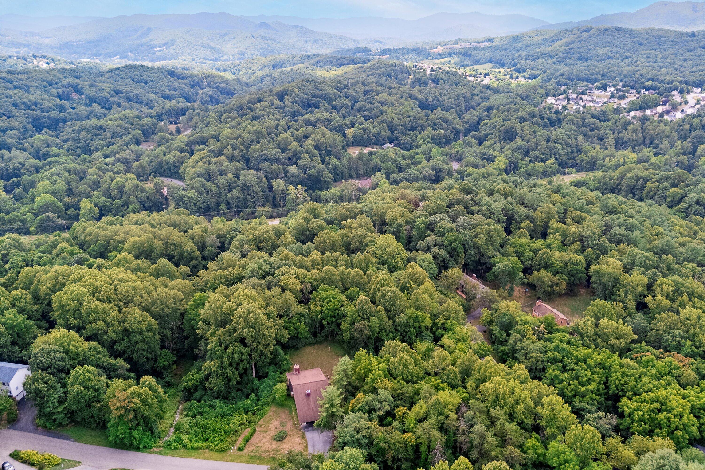 Bridlewood Dr, Roanoke, Virginia image 13