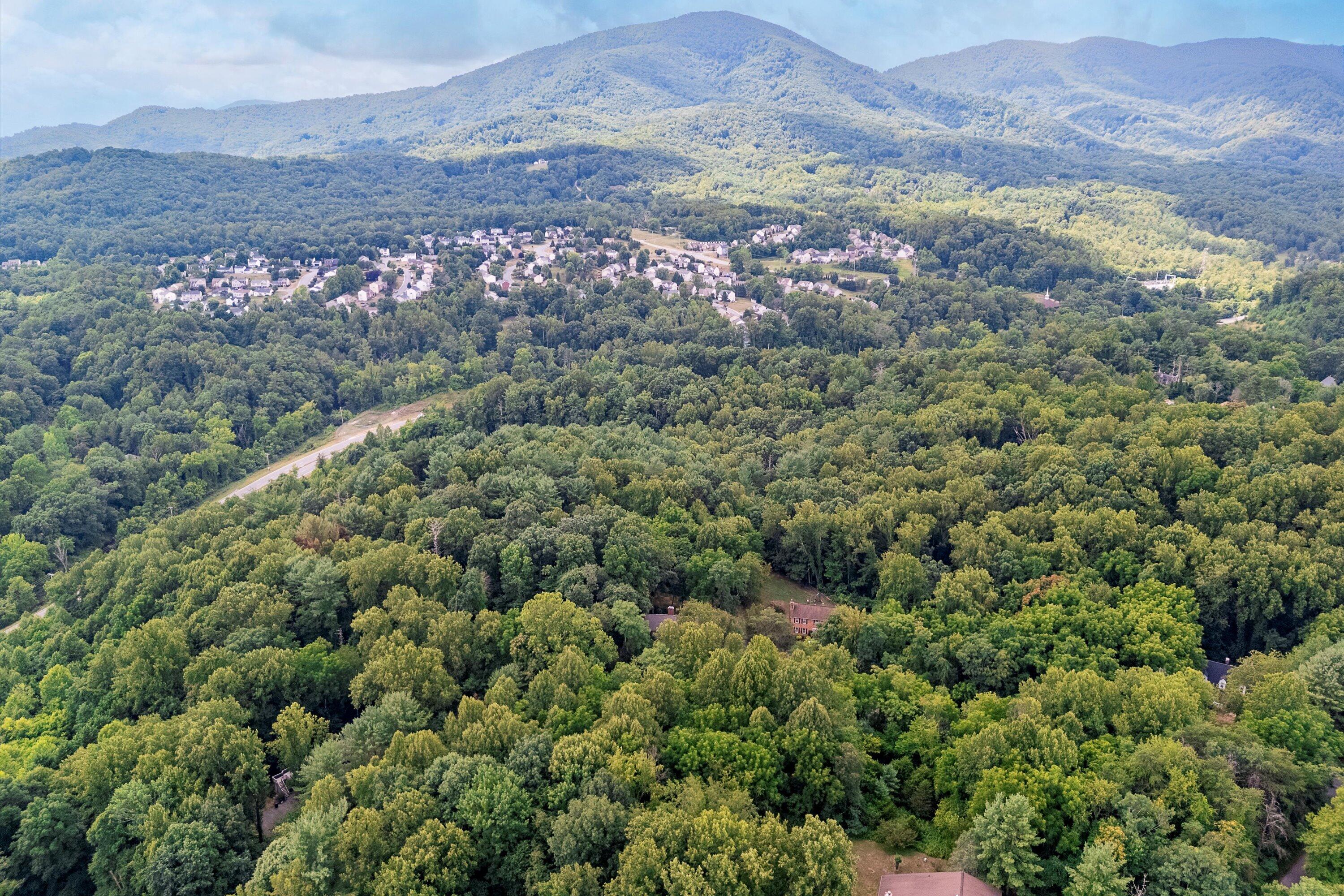 Bridlewood Dr, Roanoke, Virginia image 14