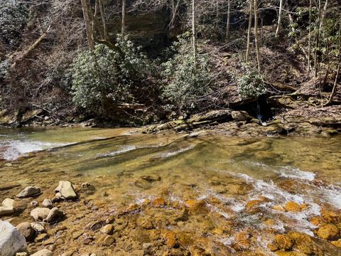 Vacant Land For Sale - Greens Chapel Ln<br/> Dungannon, VA 24245