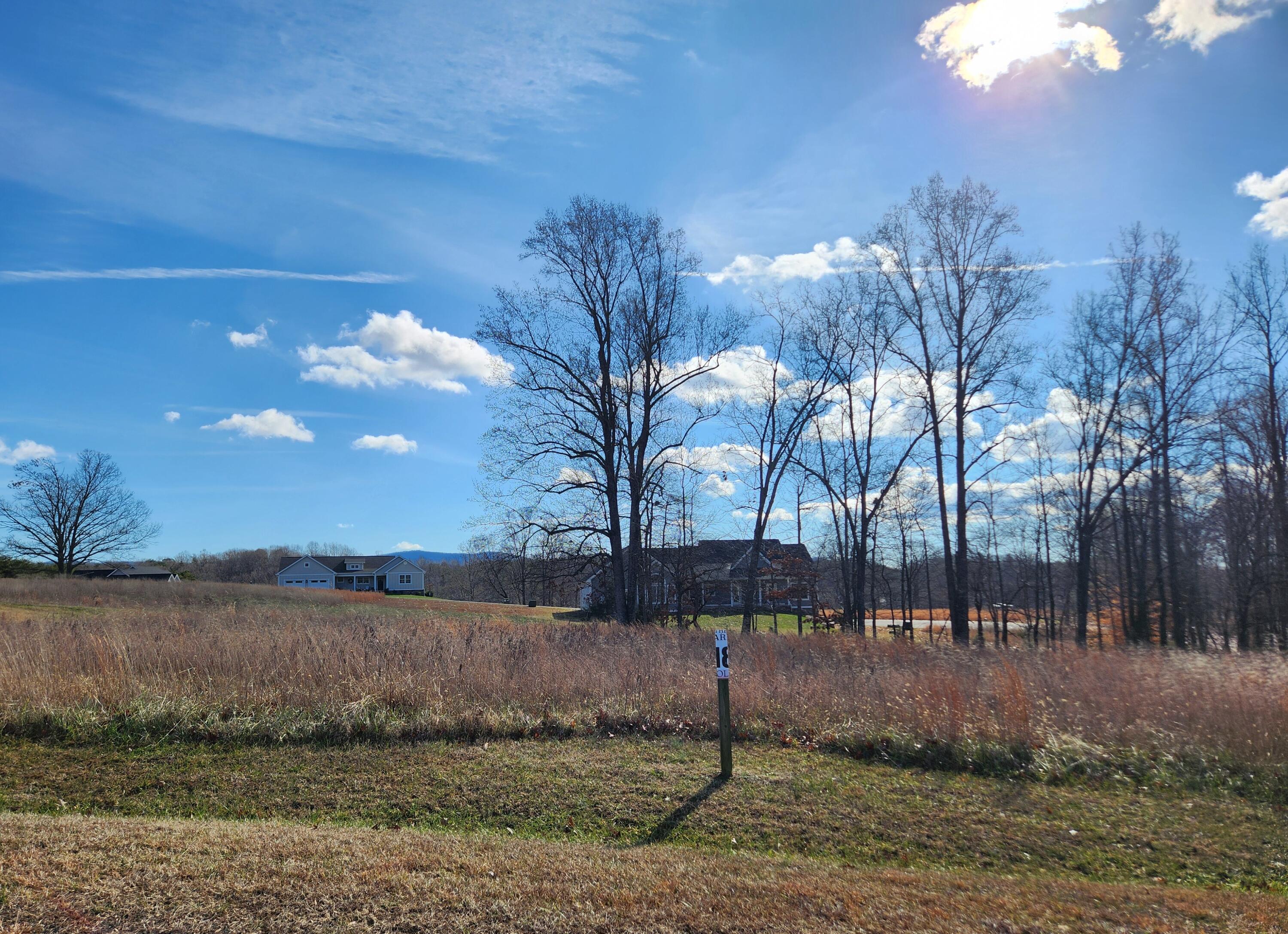 Lot 18 Farm Dr, Moneta, Virginia image 4