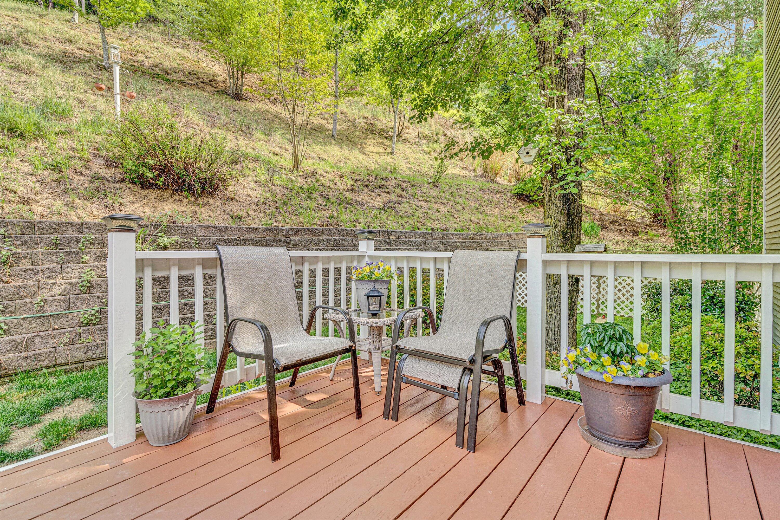 5719 Spring Meadow Ct, Roanoke, Virginia image 28