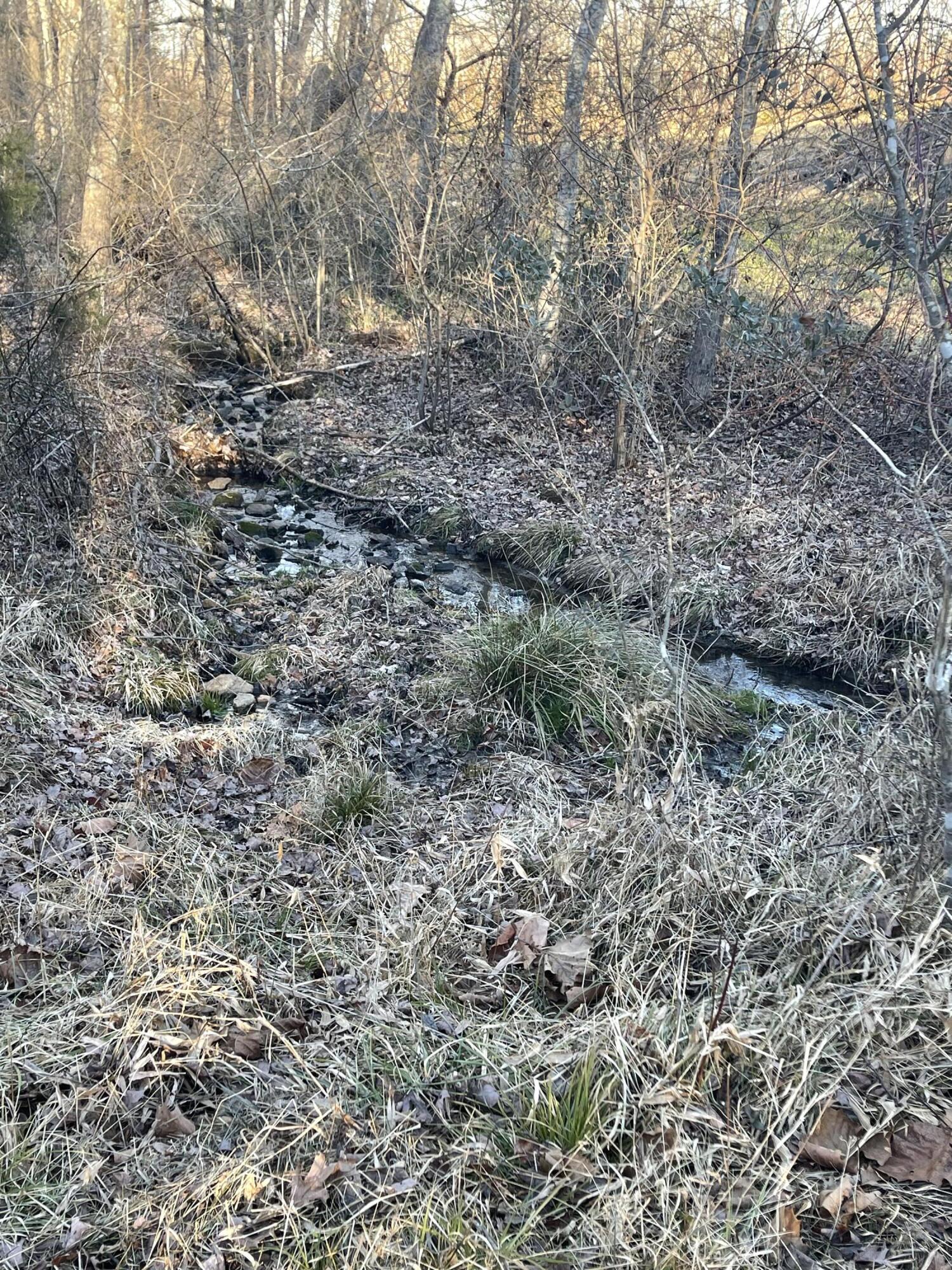 Virginia Byway, Bedford, Virginia image 7