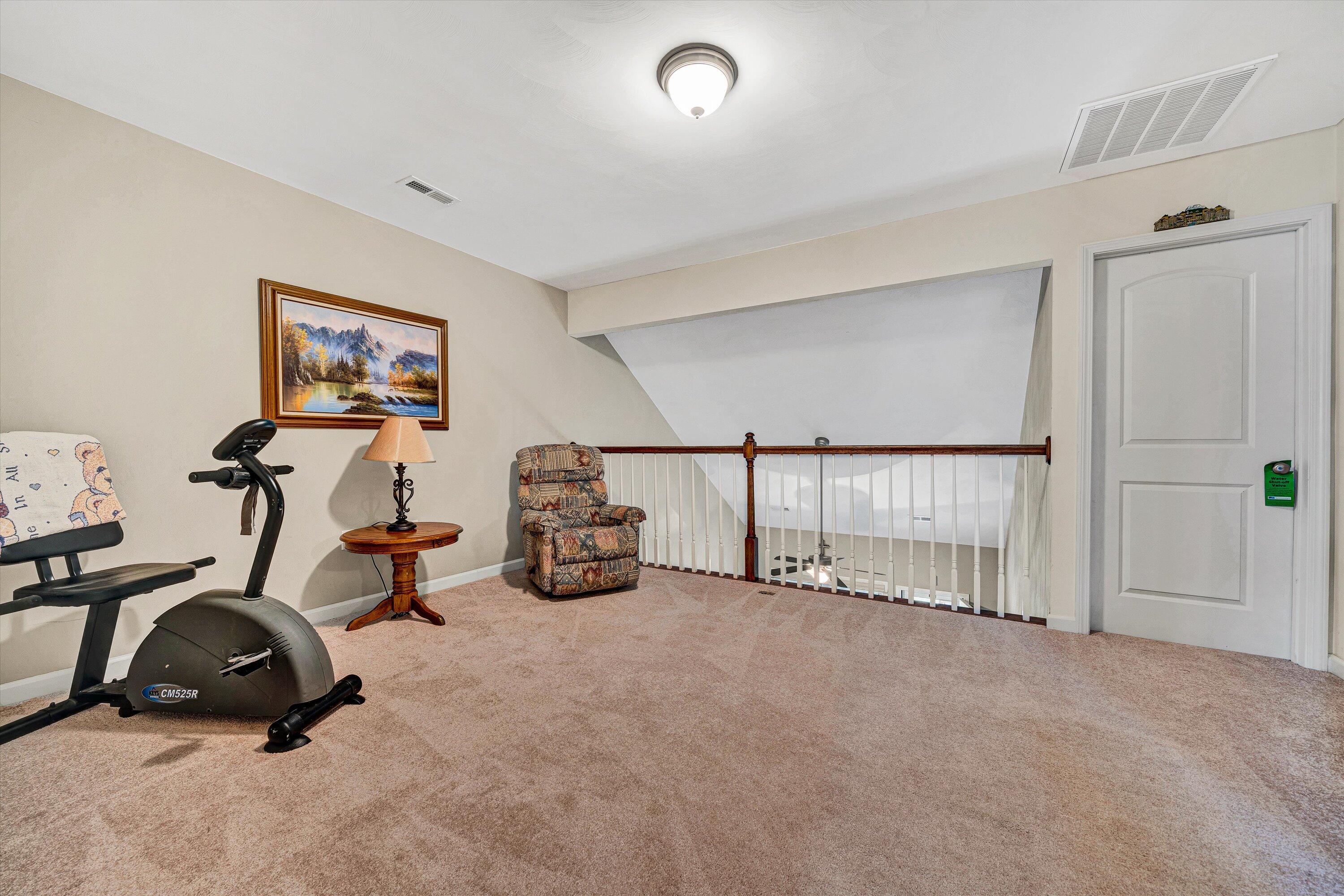 4210 Hannah Belle Way, Roanoke, Virginia image 19