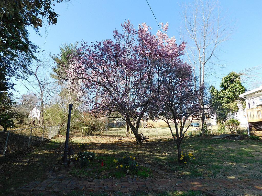 1831 Fareham Rd, Roanoke, Virginia image 30