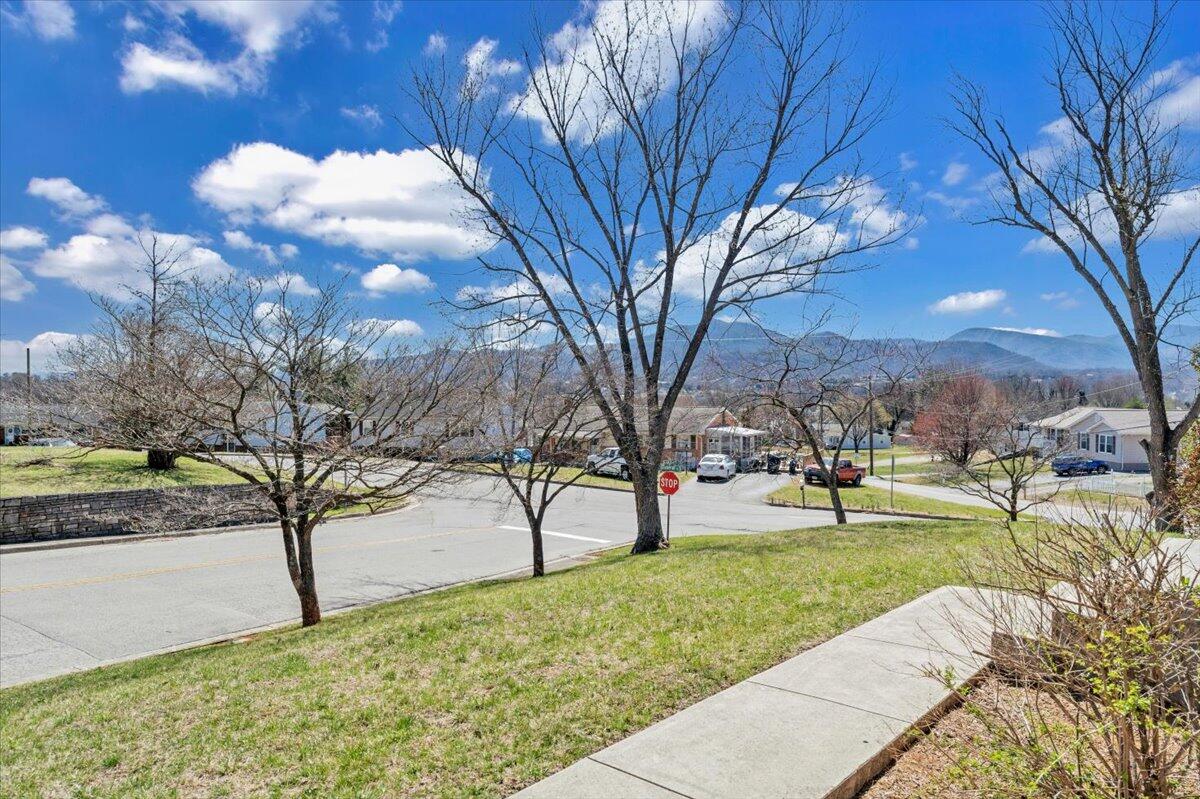 1547 Poplar Ave, Salem, Virginia image 45