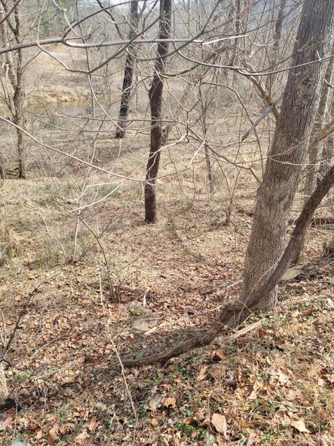 Vacant Land For Sale - Starlight Ln<br/> Boones Mill, VA 24065