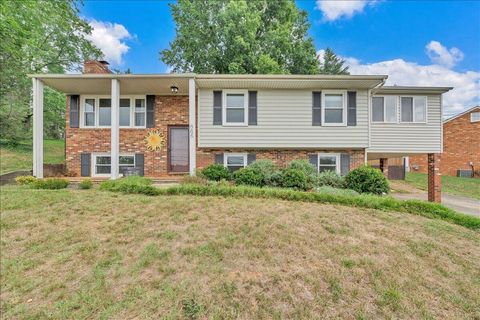 Homes For Sale - 866 Peyton St<br/> Roanoke County, Roanoke, VA 24019