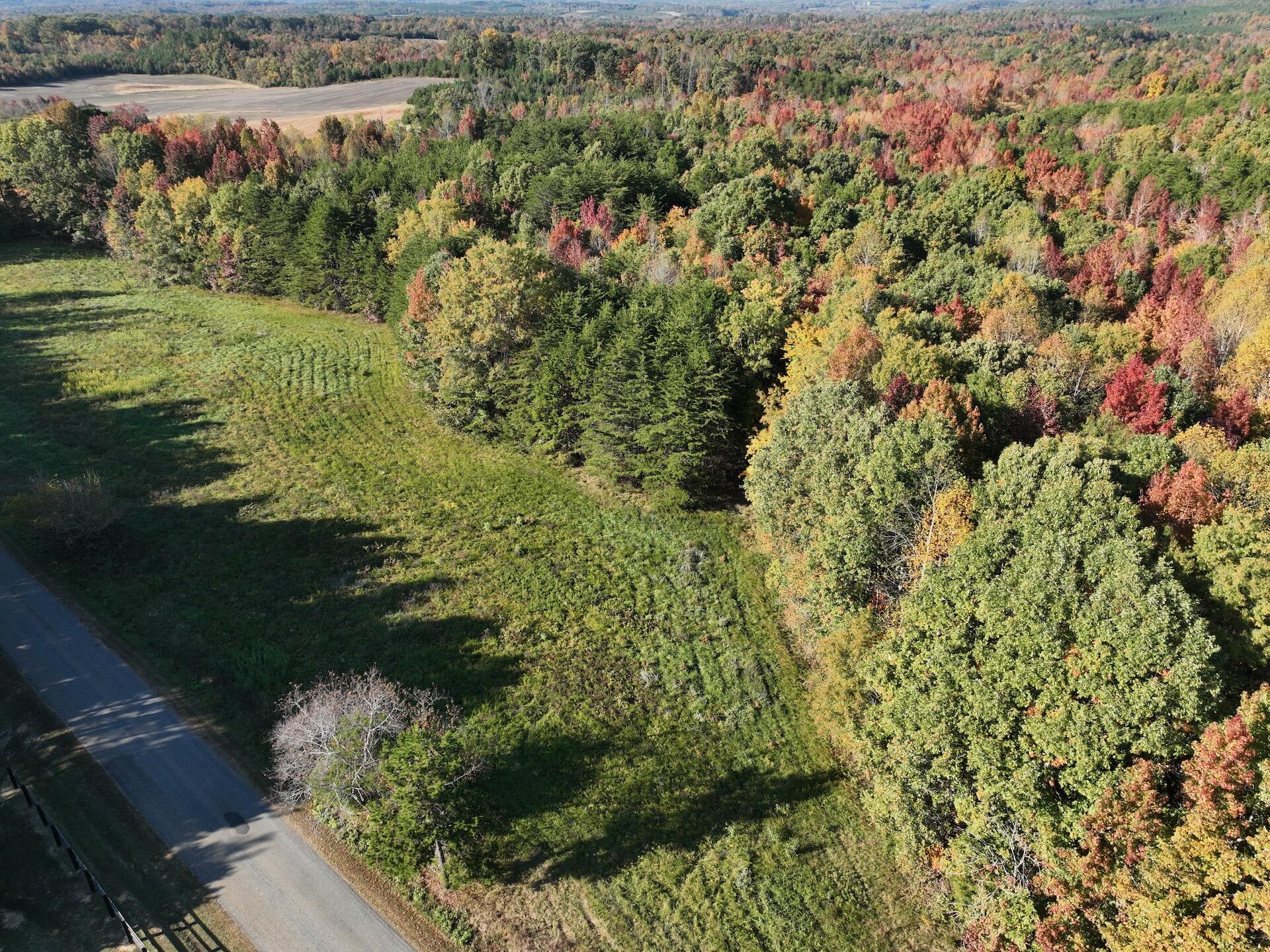 Piney Grove Rd, Alton, Virginia image 1