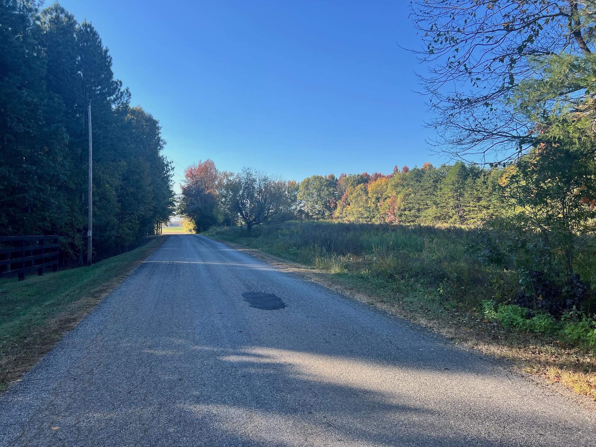 Piney Grove Rd, Alton, Virginia image 14