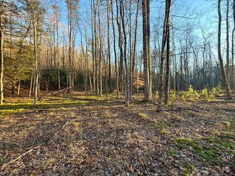 Vacant Land For Sale - Dicks Creek Rd<br/> New Castle, VA 24127