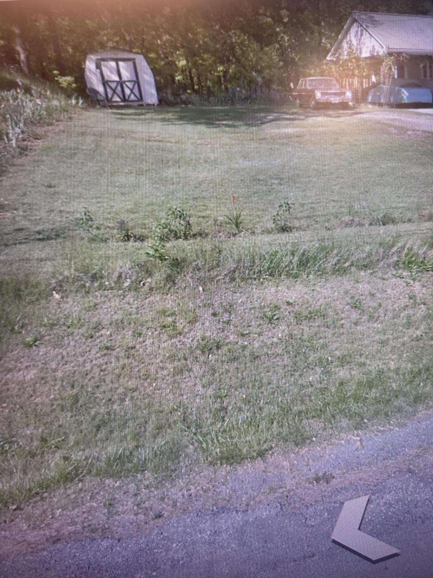 Camille Ave, Roanoke, Virginia image 1