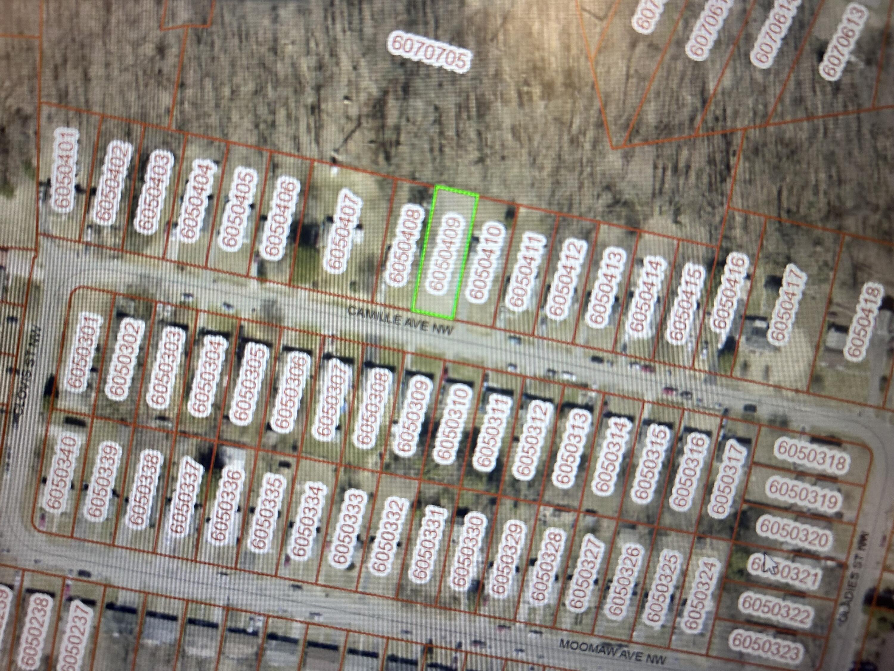 Camille Ave, Roanoke, Virginia image 2