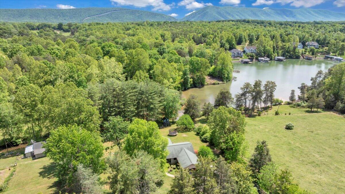 1296 Emerald Valley Way, Huddleston, Virginia image 42
