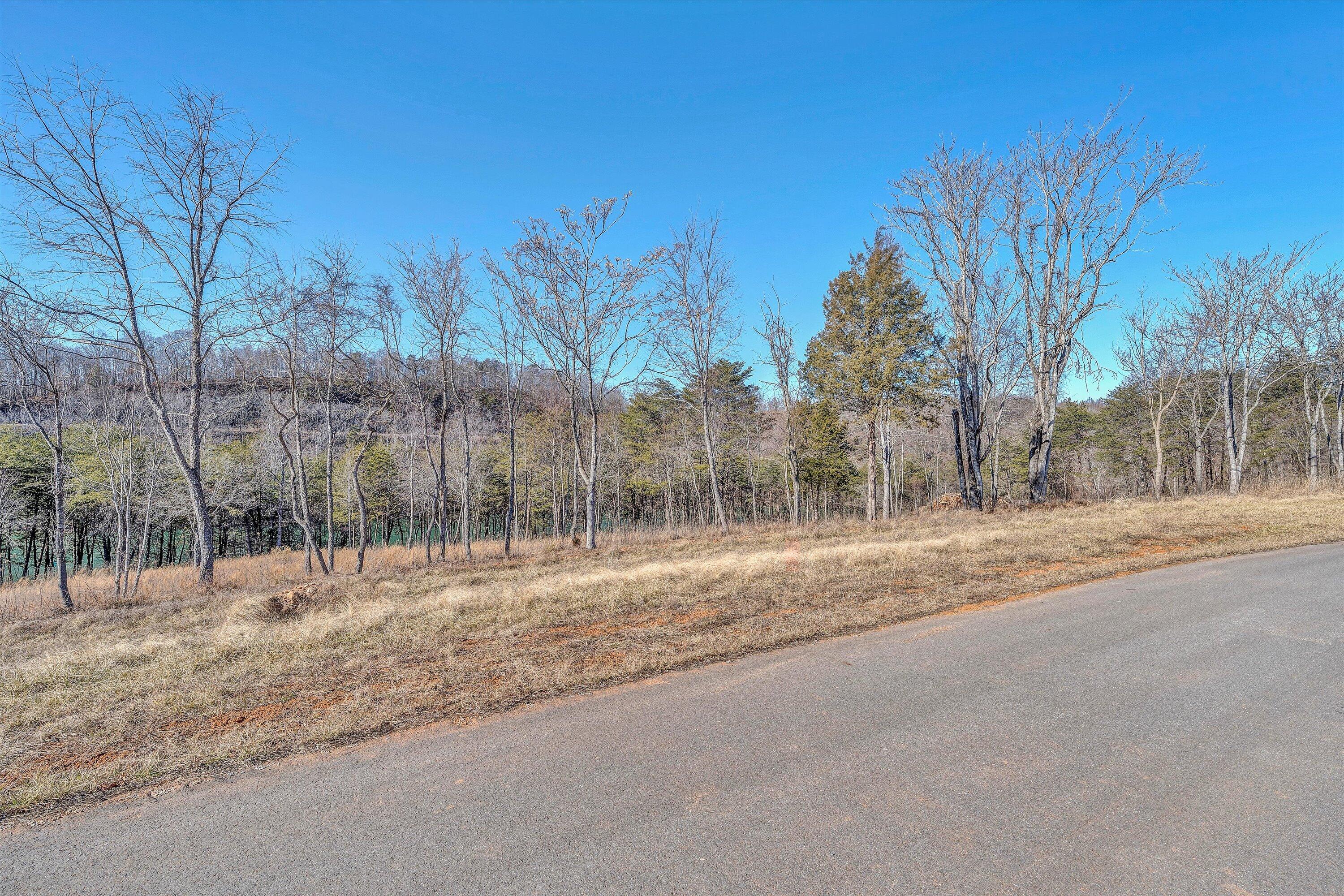 Lot 4 Springsteen Cir, Hardy, Virginia image 3