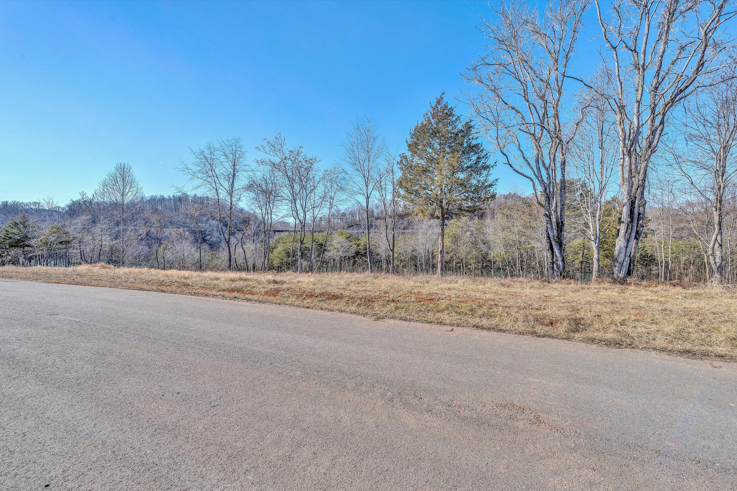 Lot 4 Springsteen Cir, Hardy, Virginia image 4