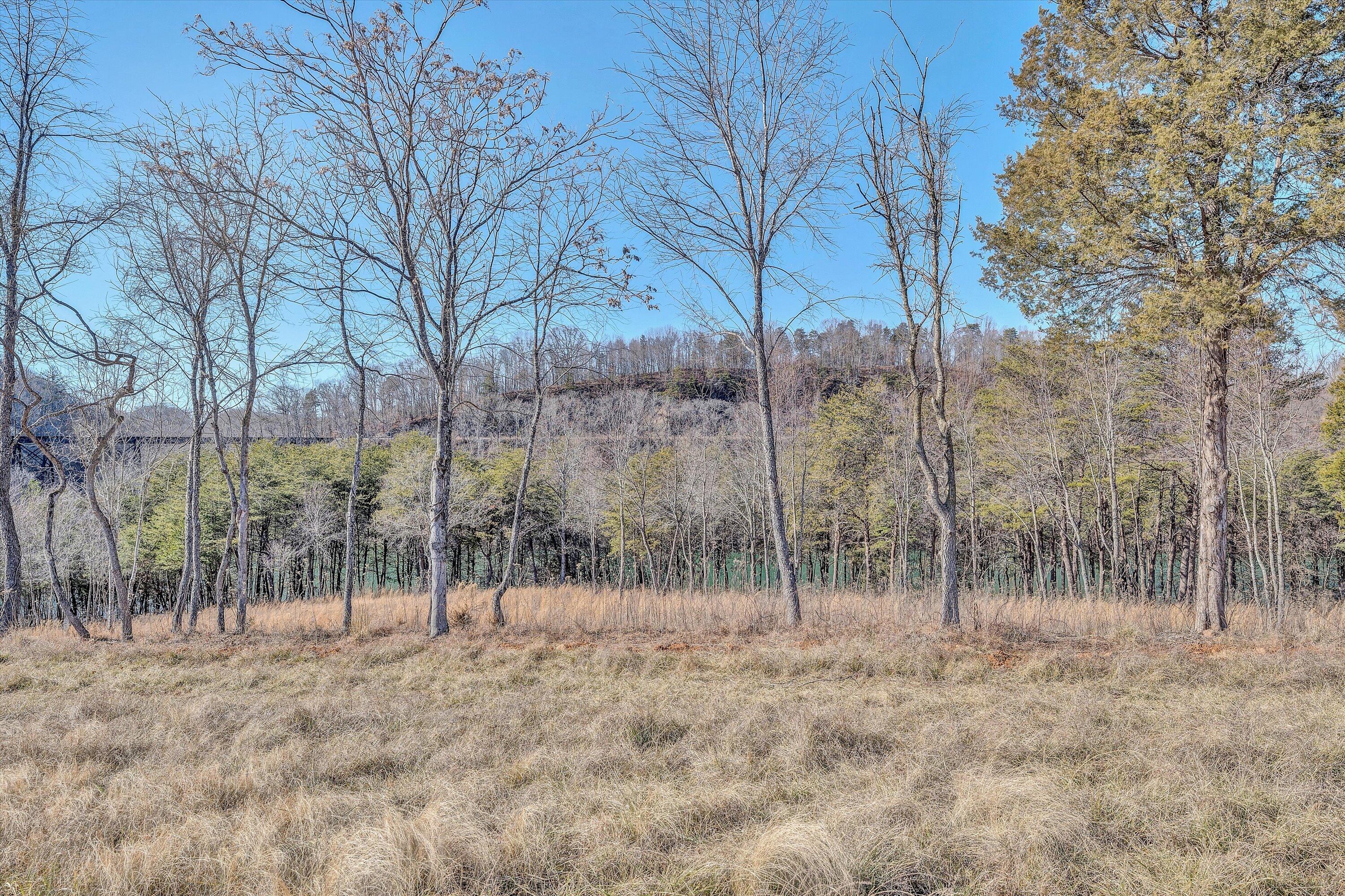 Lot 4 Springsteen Cir, Hardy, Virginia image 5