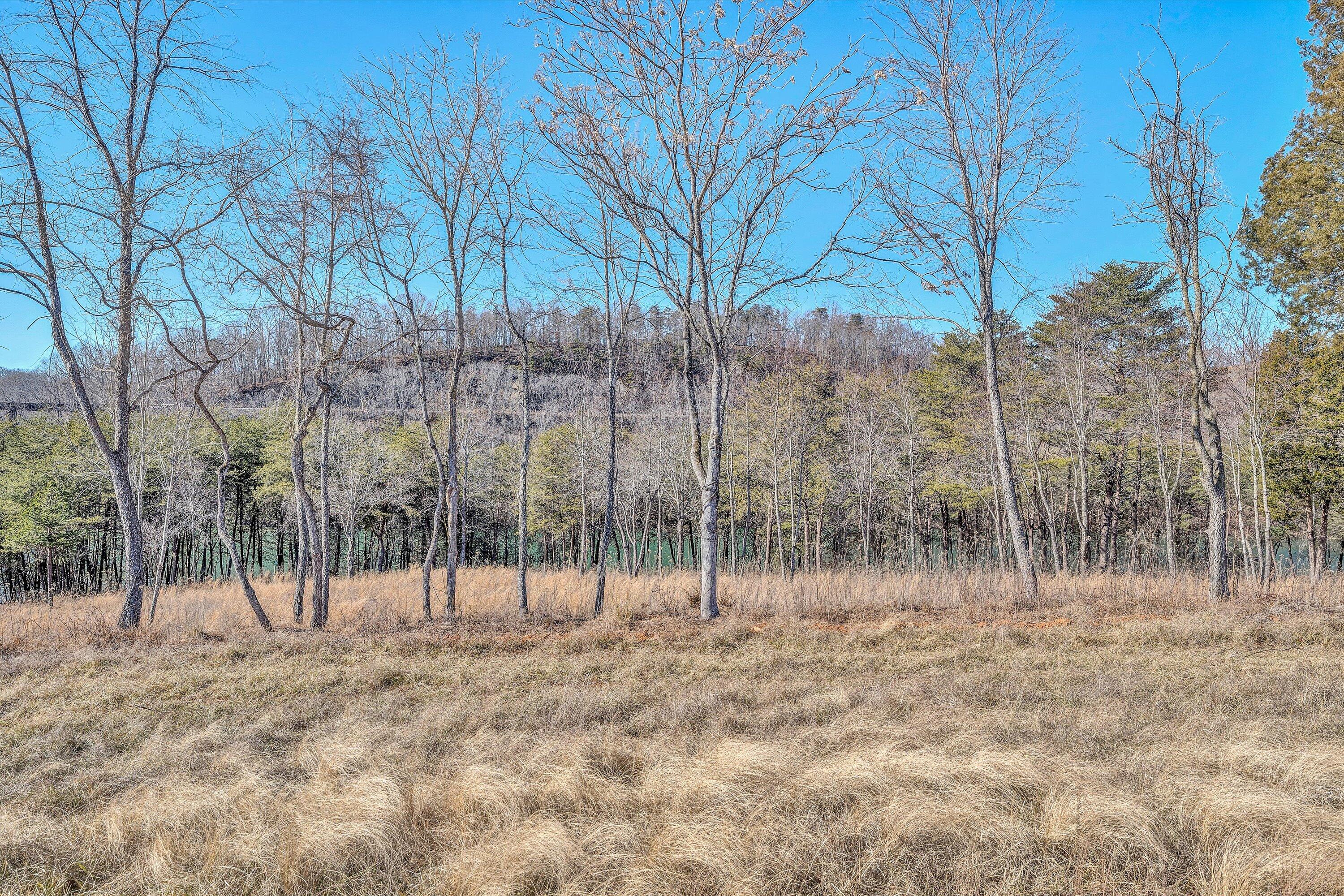 Lot 4 Springsteen Cir, Hardy, Virginia image 6