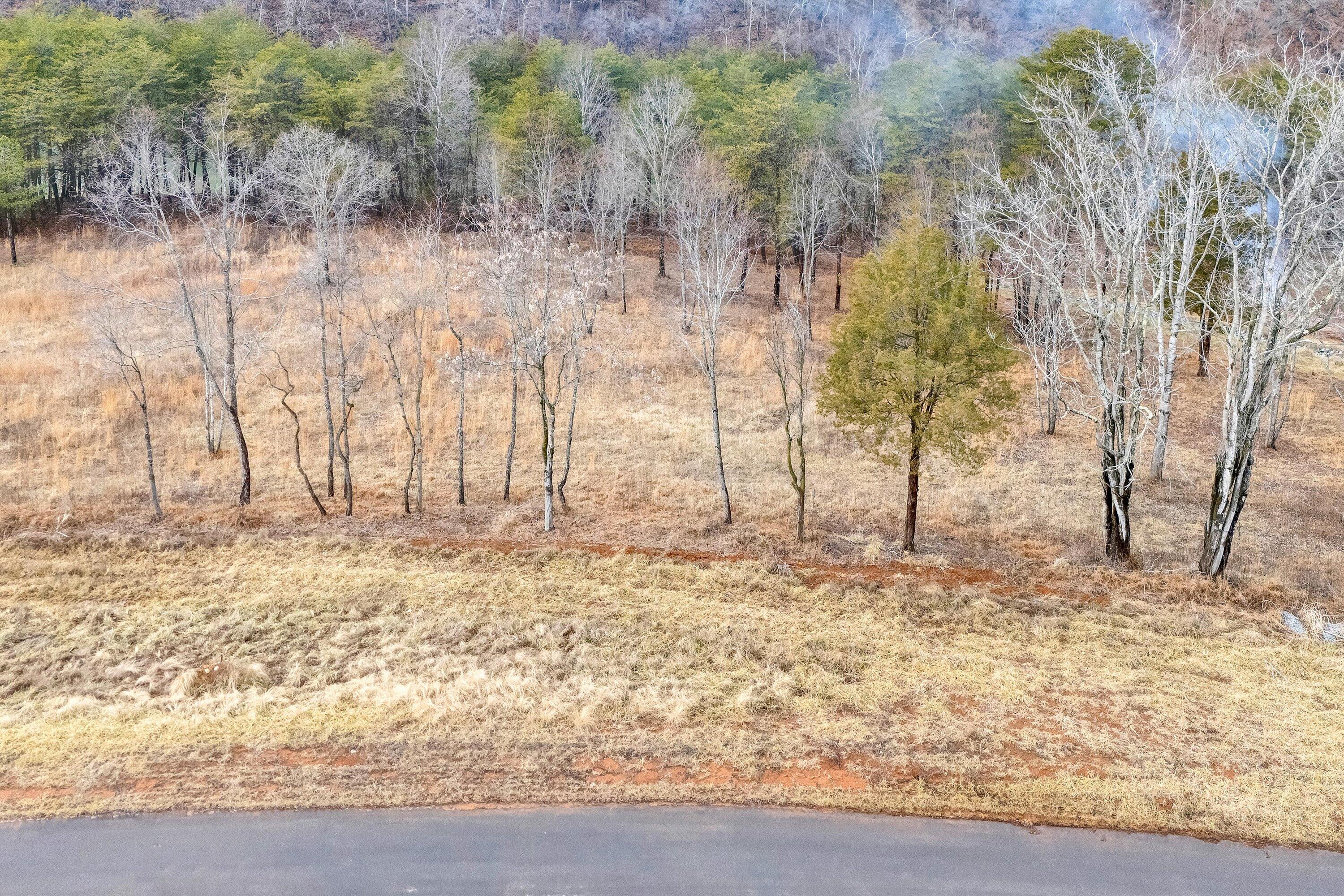 Lot 4 Springsteen Cir, Hardy, Virginia image 15