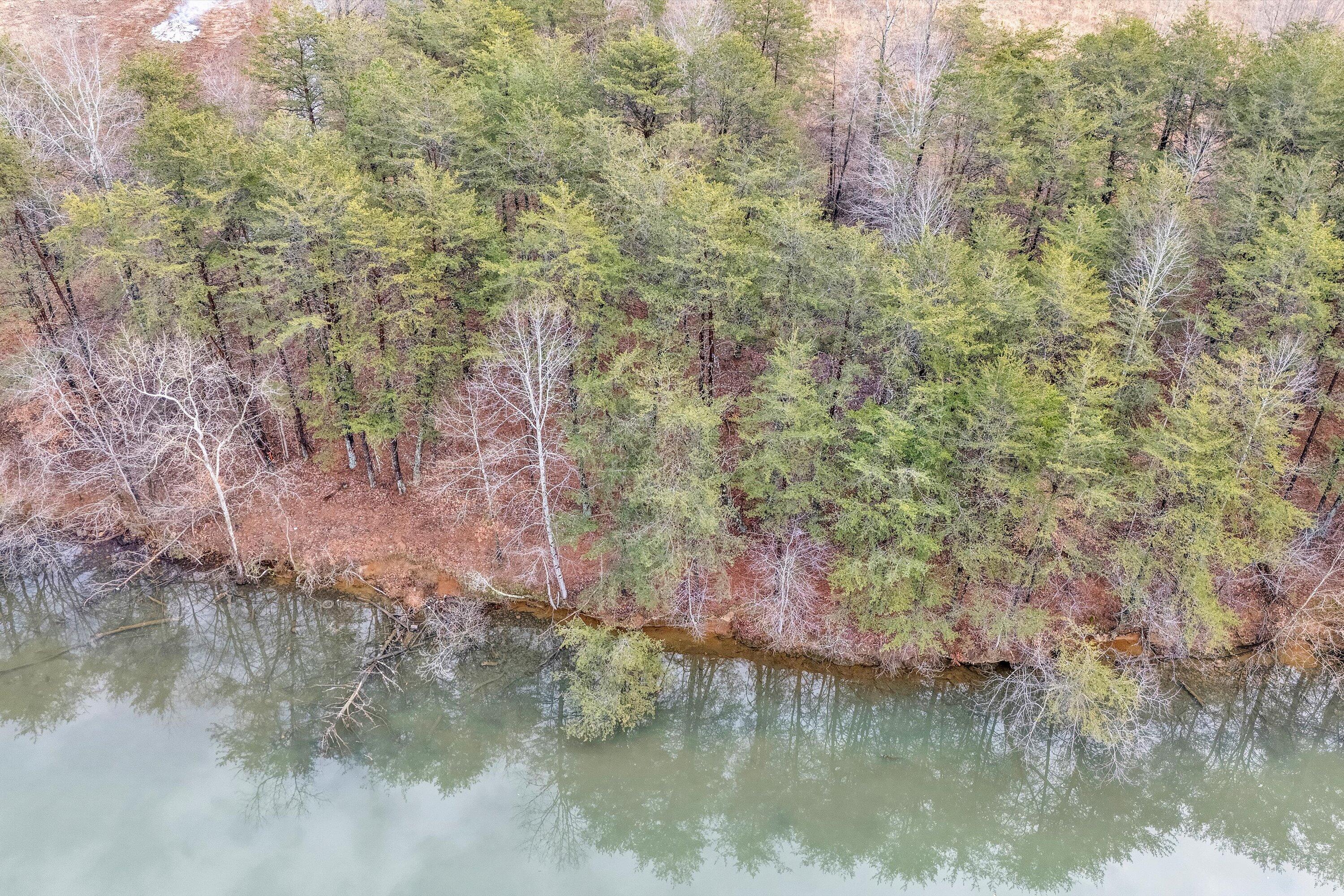 Lot 4 Springsteen Cir, Hardy, Virginia image 14