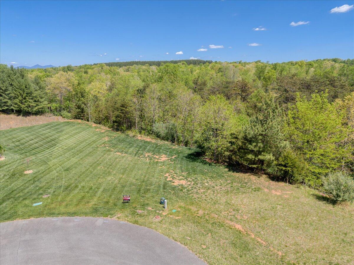 Lot 24 Pine Watch Cir, Moneta, Virginia image 1