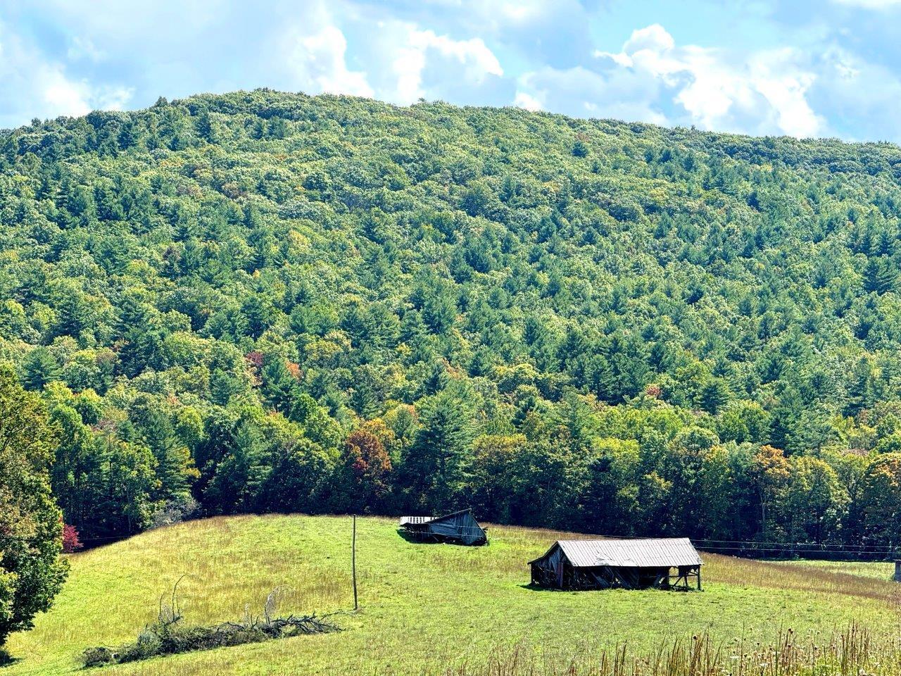 Kates Mountain Rd, White Sulphur Springs, West Virginia image 5