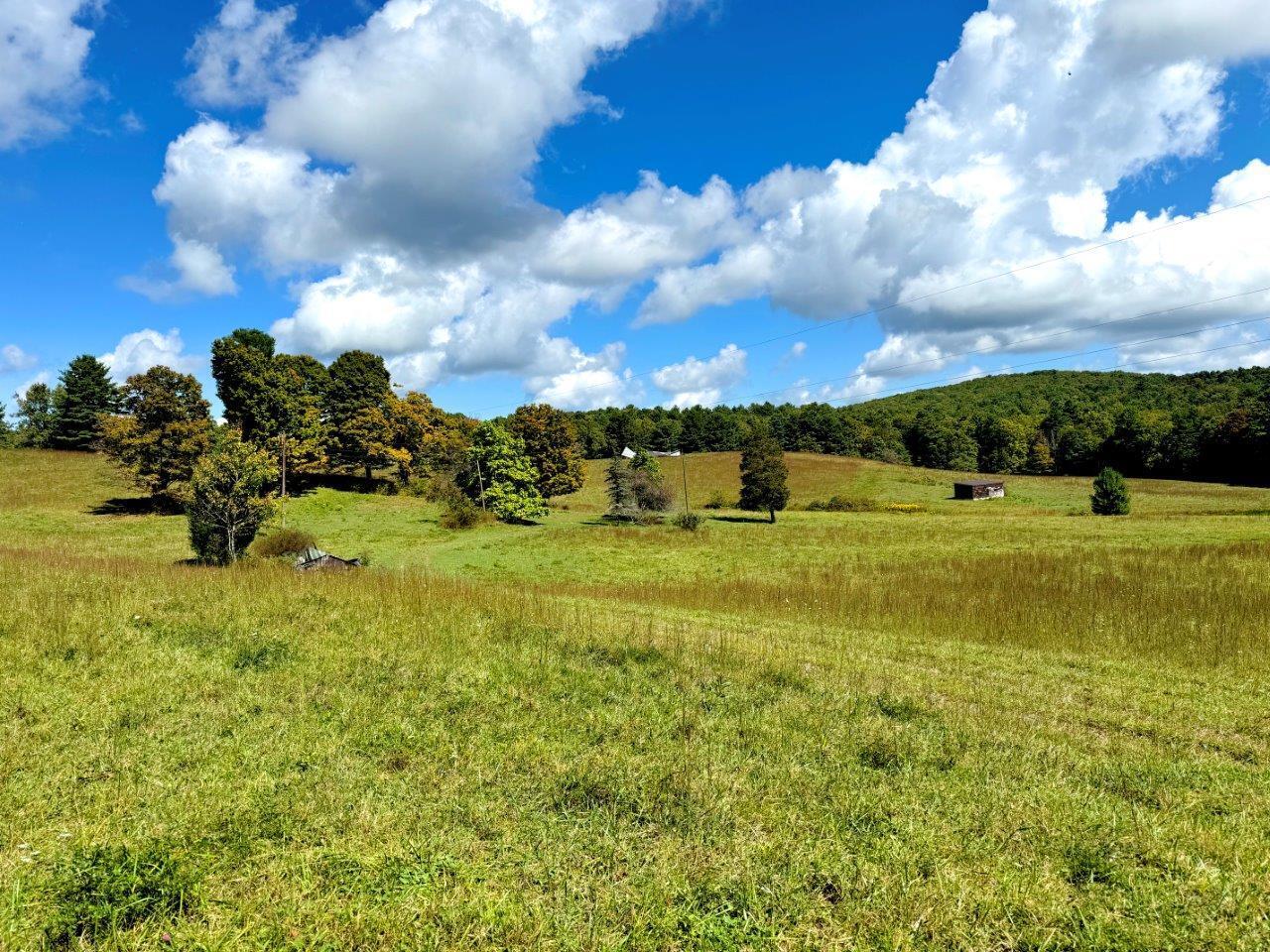 Kates Mountain Rd, White Sulphur Springs, West Virginia image 3