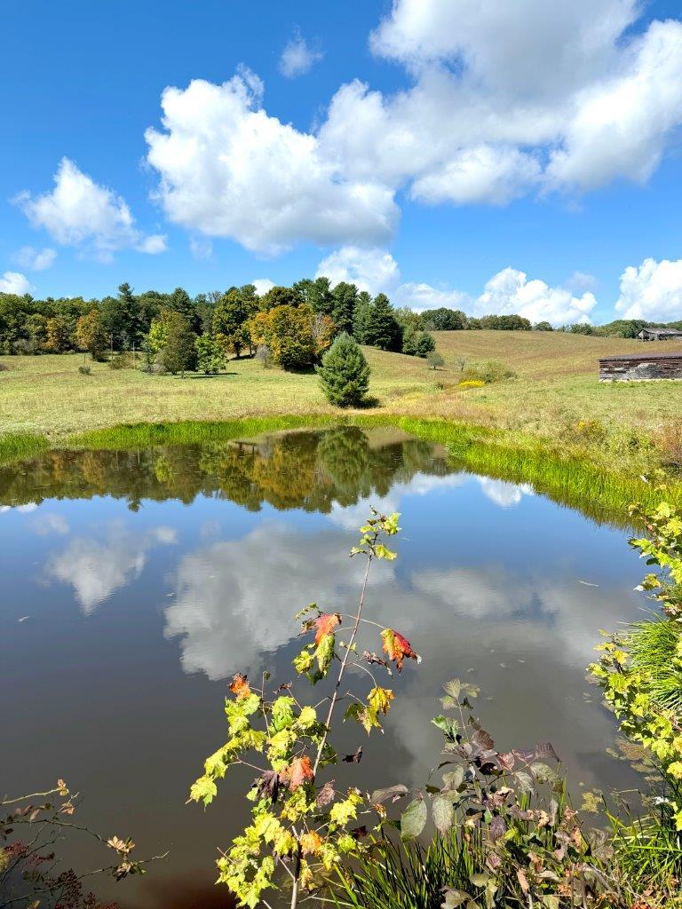 Kates Mountain Rd, White Sulphur Springs, West Virginia image 1