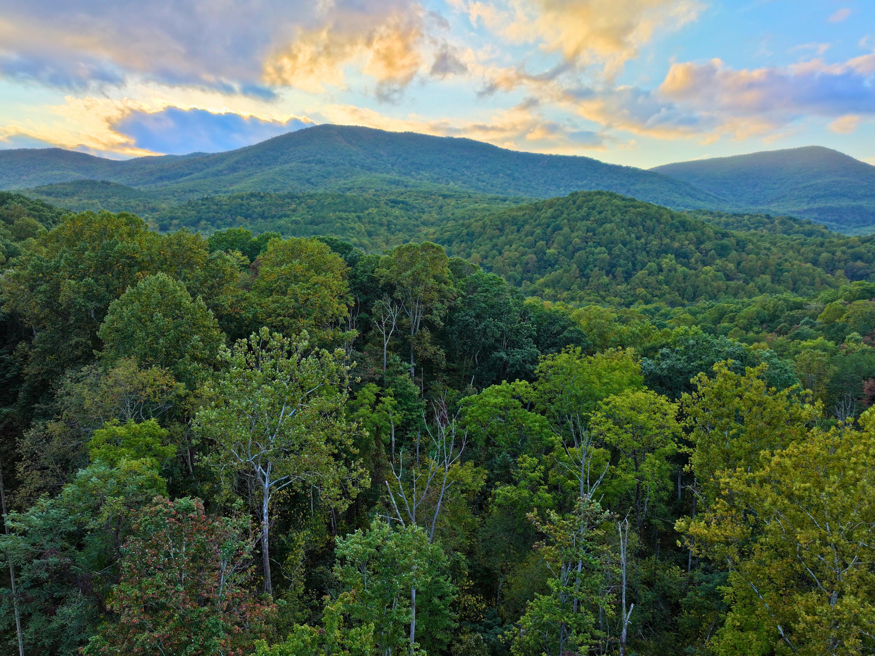 195 Lost Spring Ln, Lexington, Virginia image 11