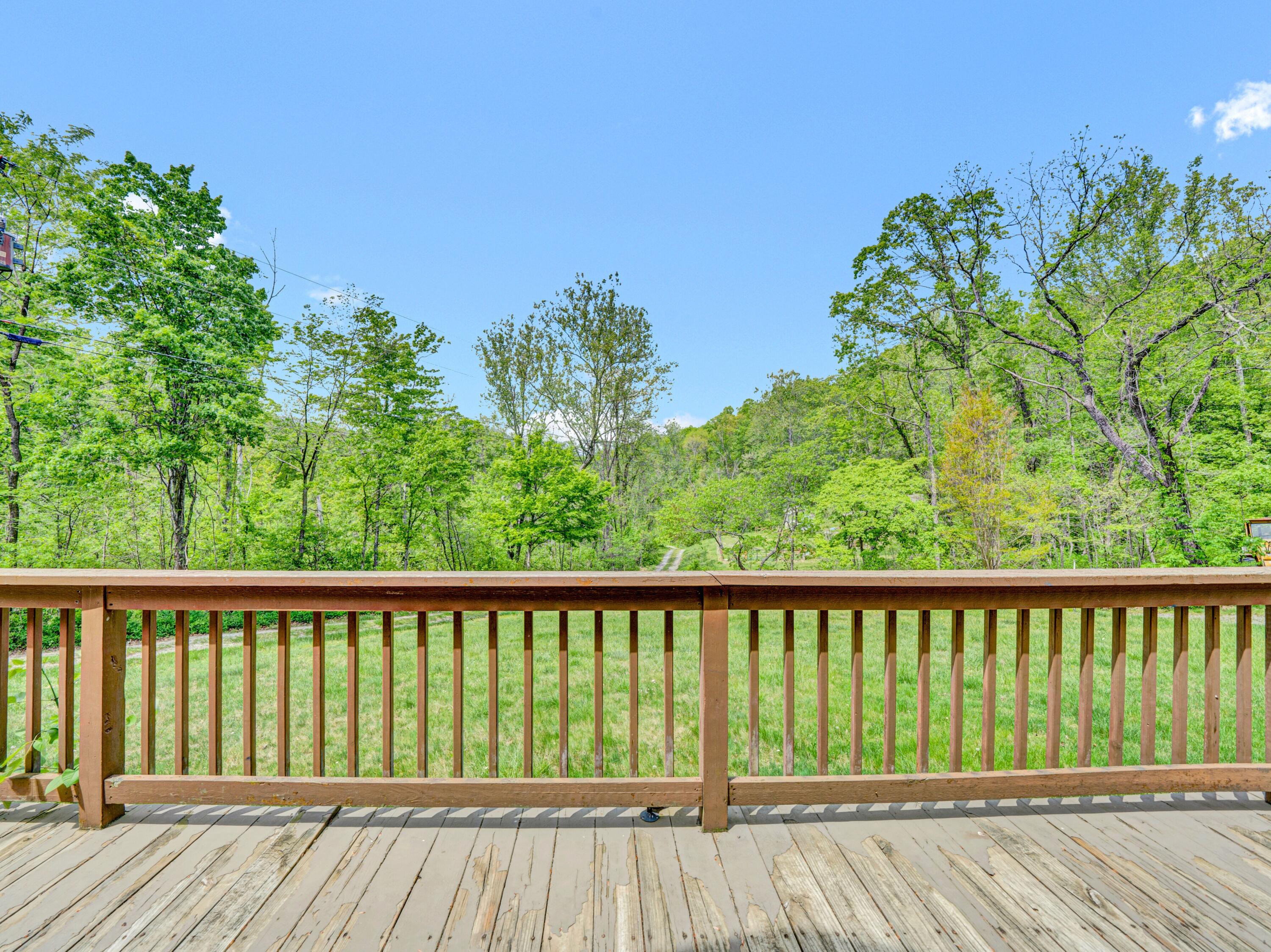195 Lost Spring Ln, Lexington, Virginia image 43