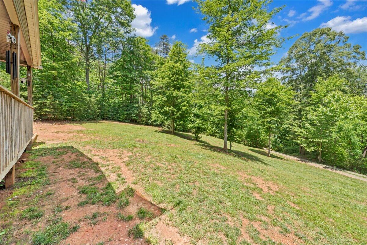4362 Stewartsville Rd, Moneta, Virginia image 36