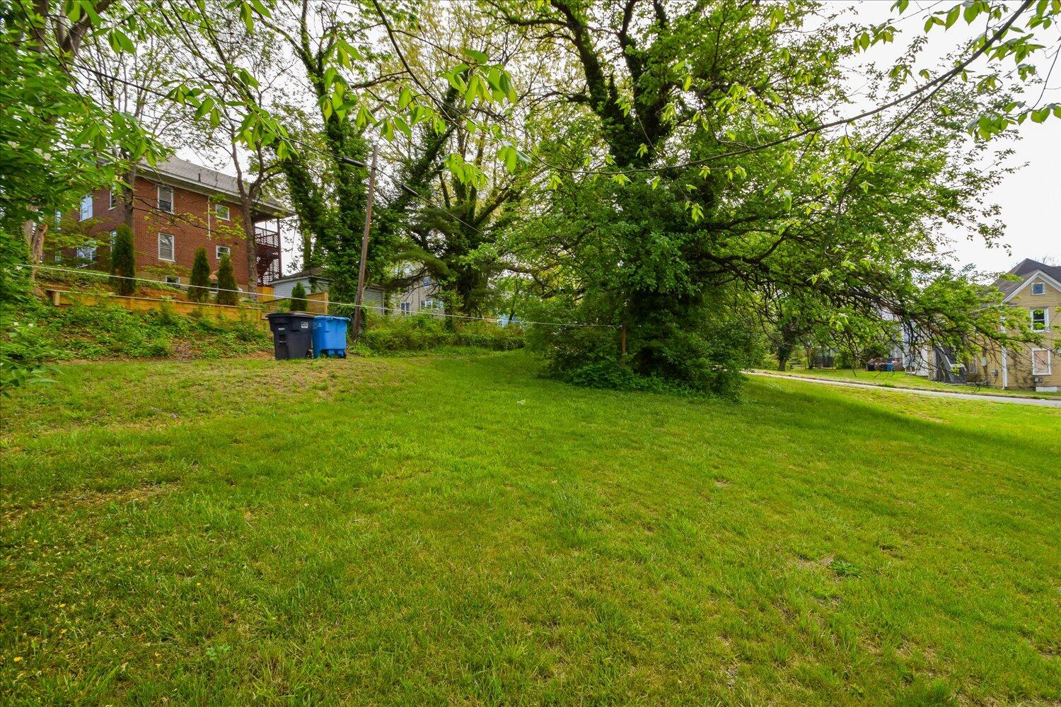 1705 Chapman Ave, Roanoke, Virginia image 24