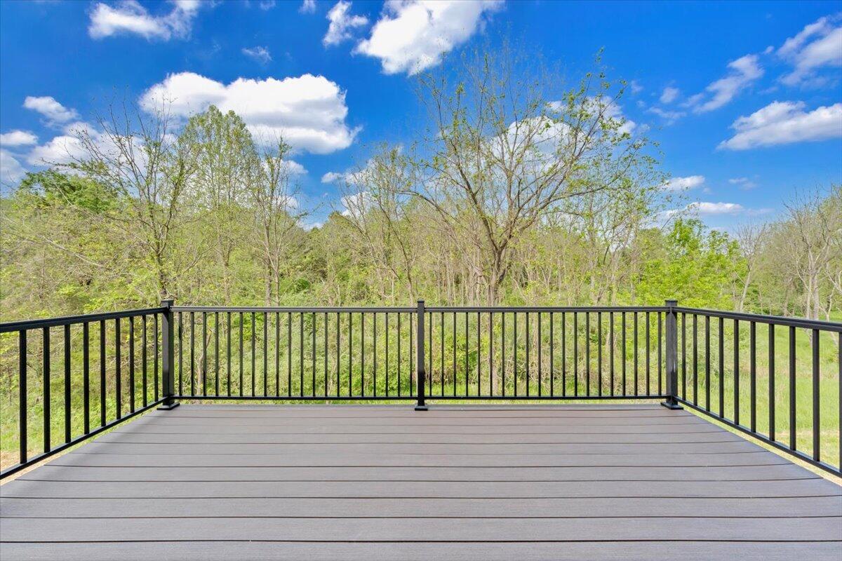 447 Hollymeade Ln, Daleville, Virginia image 43