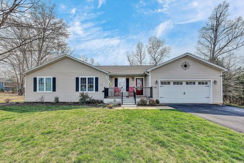 Homes For Sale - 1089 Marie Dr<br/> Huddleston, VA 24104
