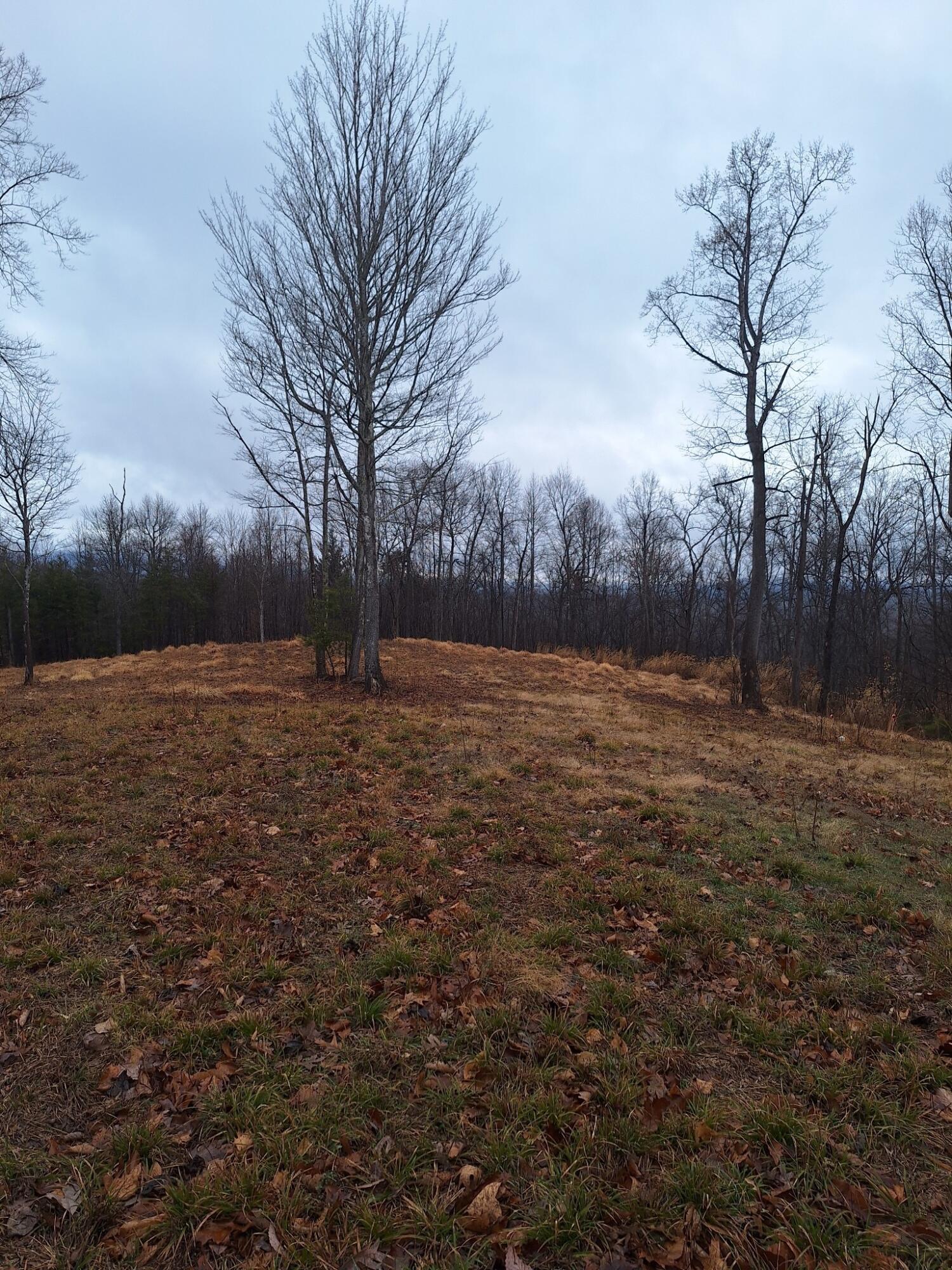 Johnnys Ridge Rd, Ferrum, Ohio image 2