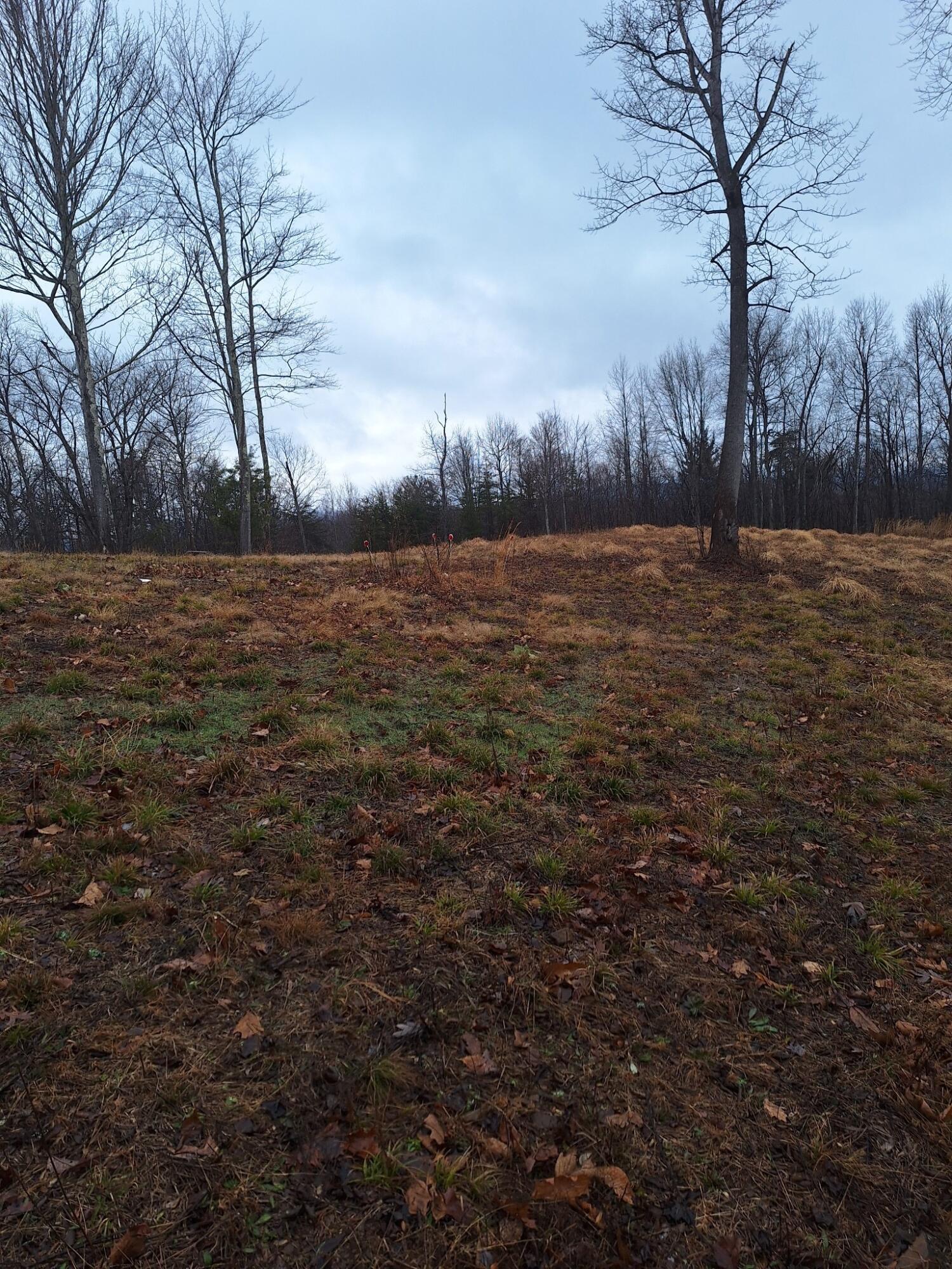 Johnnys Ridge Rd, Ferrum, Ohio image 1