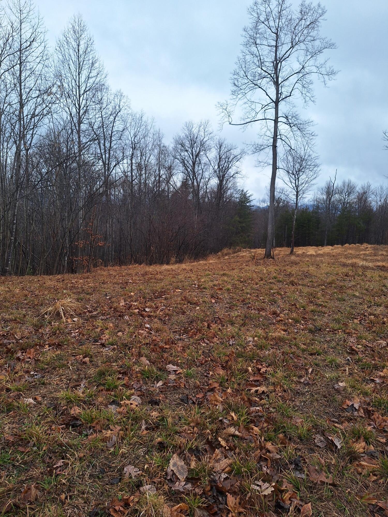 Johnnys Ridge Rd, Ferrum, Ohio image 4
