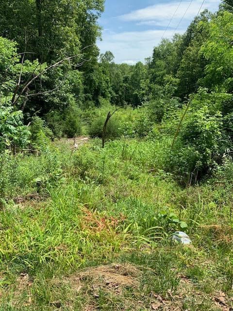 Vacant Land For Sale - Hollyfield Rd<br/> Rocky Mount, VA 24151