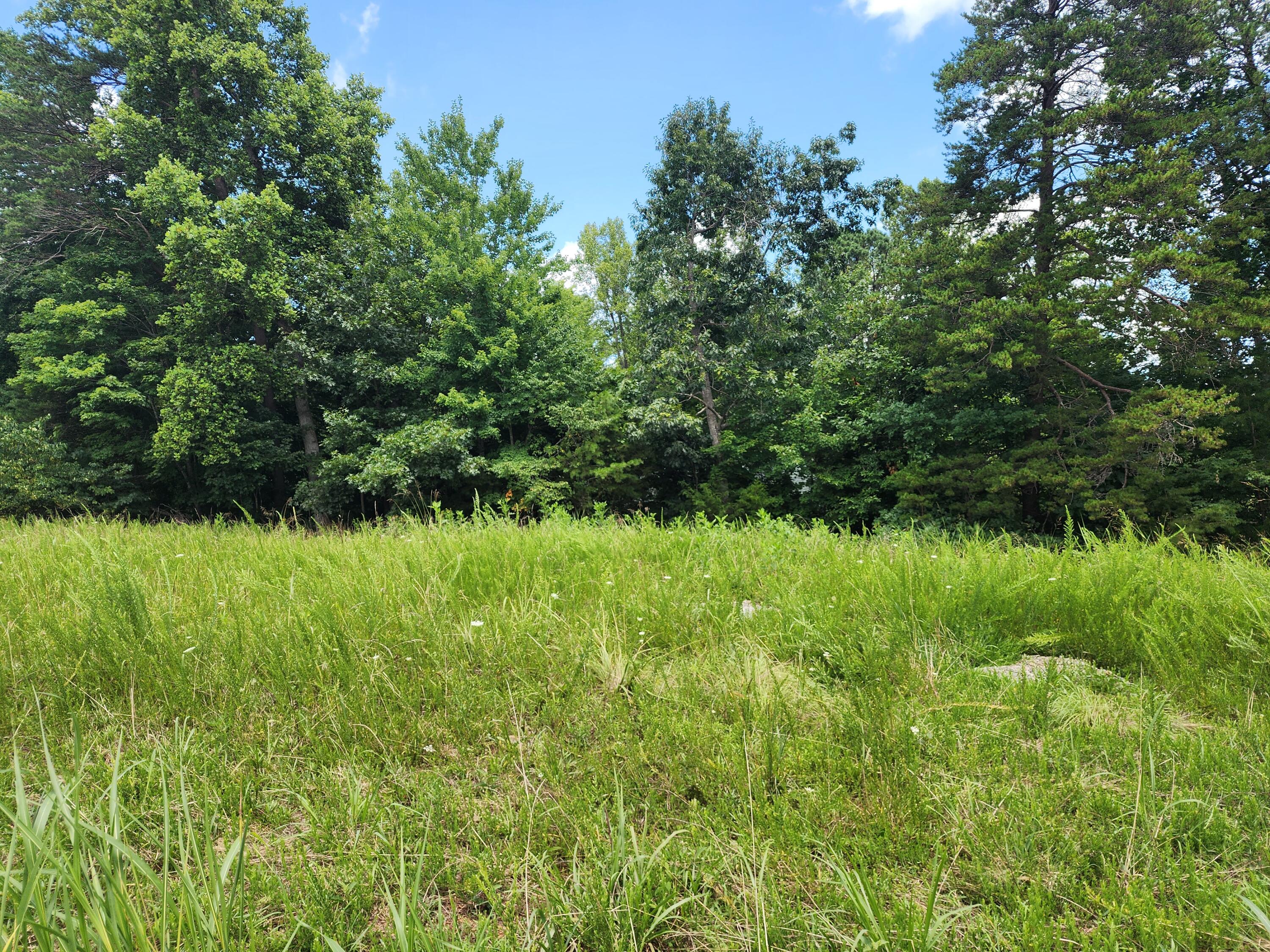 Glade Hill, Virginia 24092, United States, ,Land,Active,222067