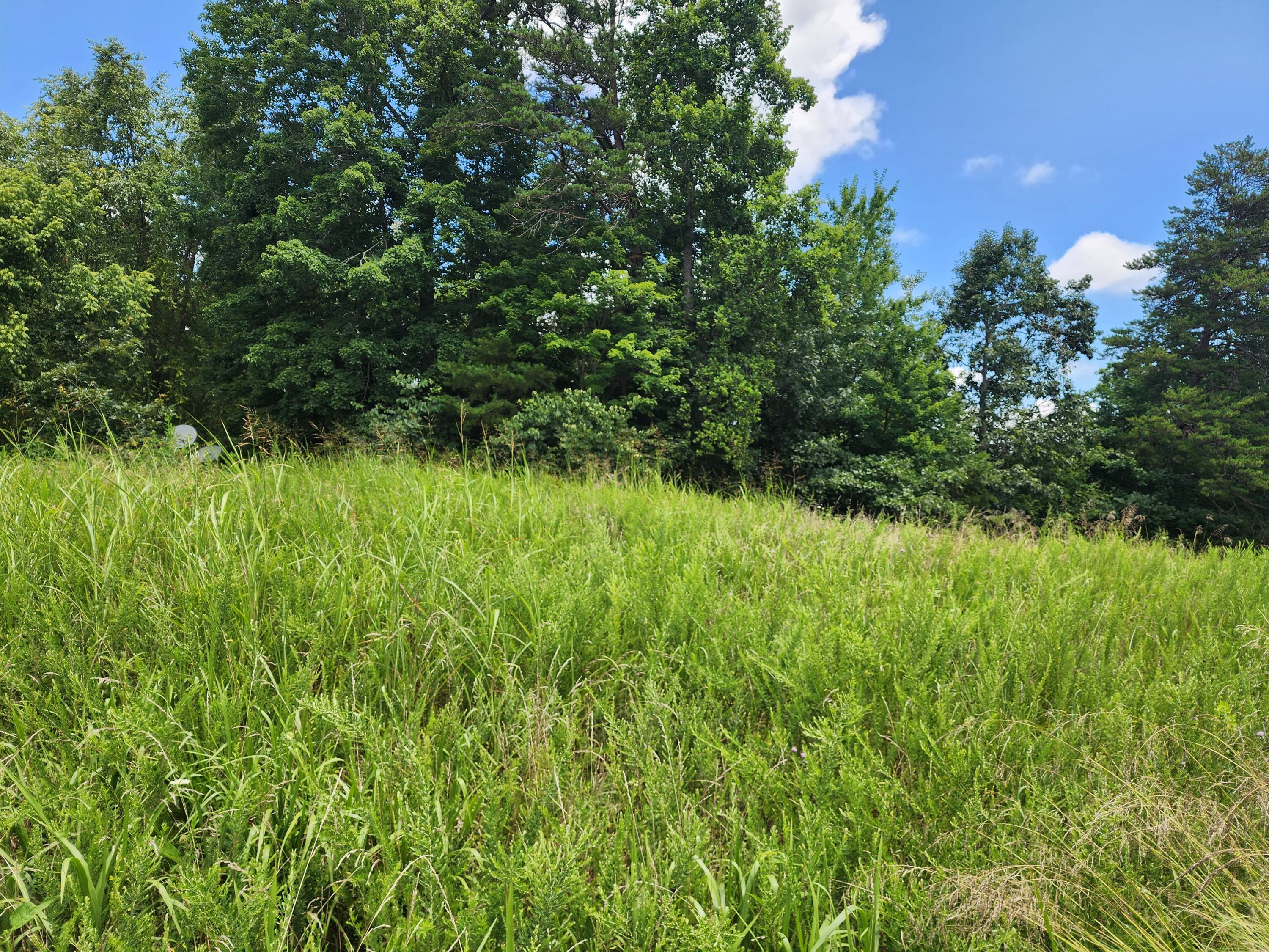 Glade Hill, Virginia 24092, United States, ,Land,Active,222067