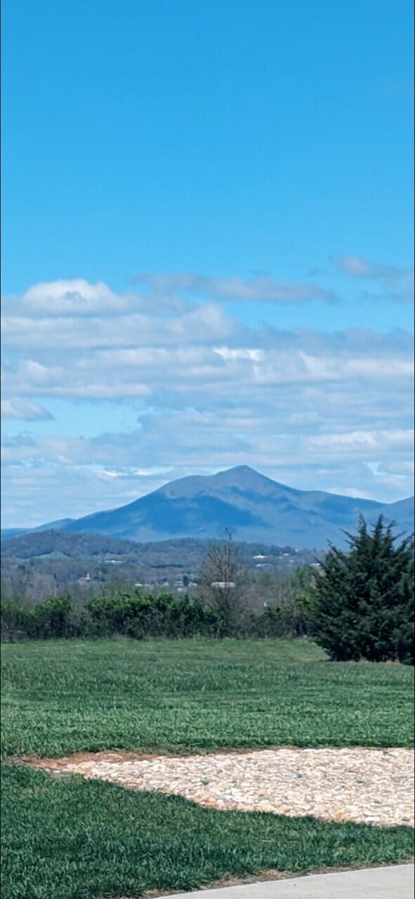 Bedford, Virginia 24523, United States, 5 Bedrooms Bedrooms, ,6 BathroomsBathrooms,Residential,Active,114474