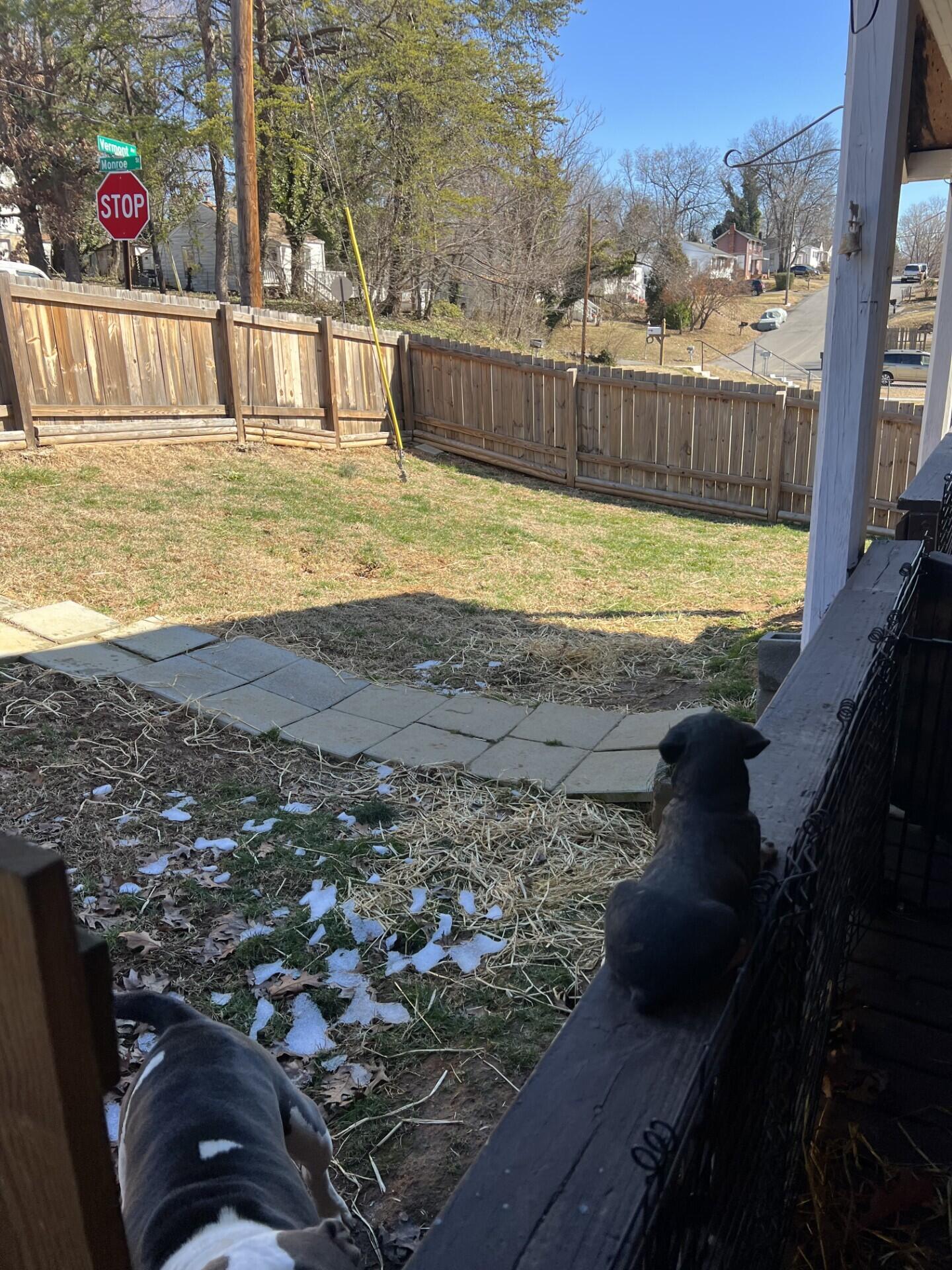 4102 Vermont Ave, Roanoke, Virginia image 23