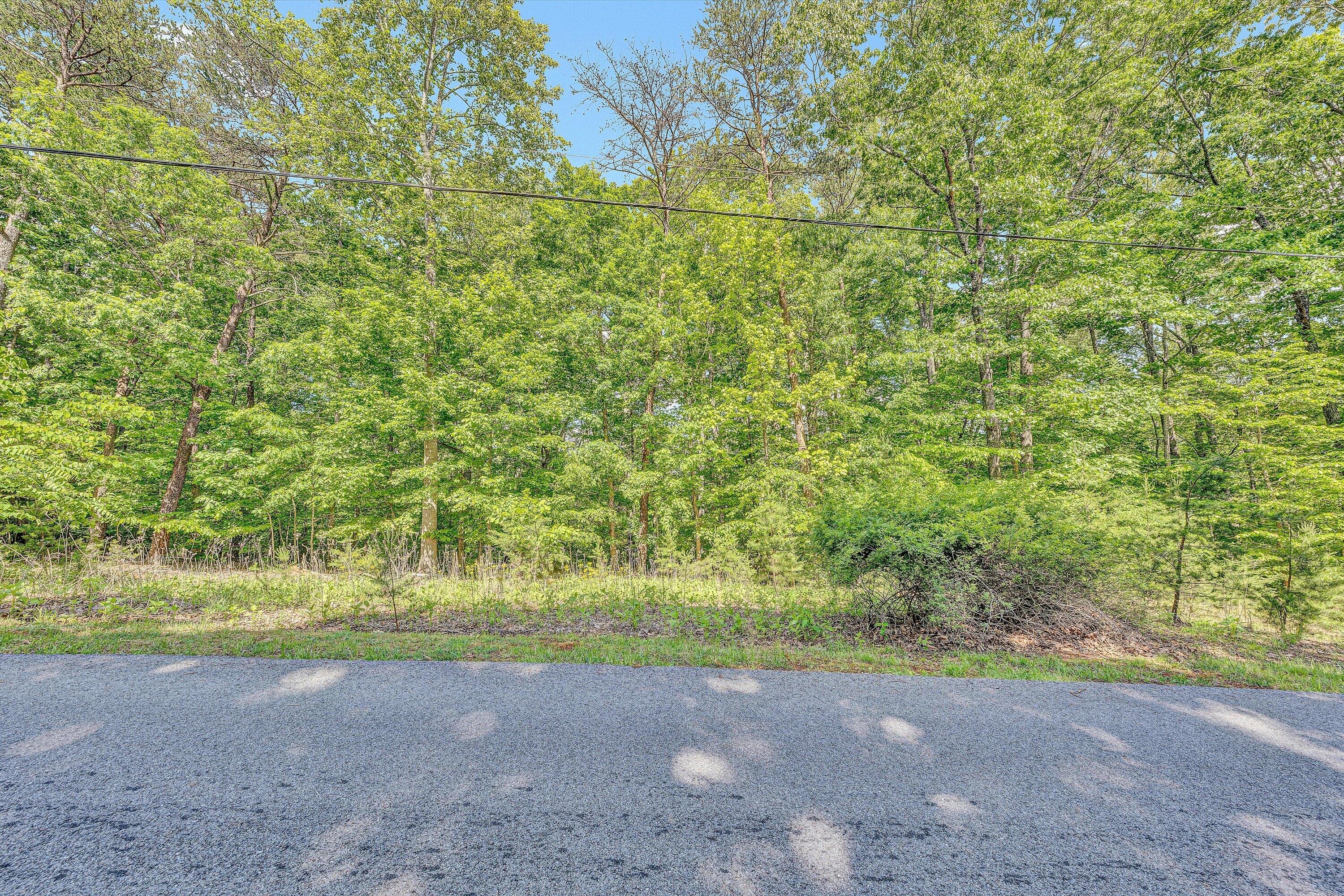 Lot 62 Gap Bridge Rd, Moneta, Virginia image 4