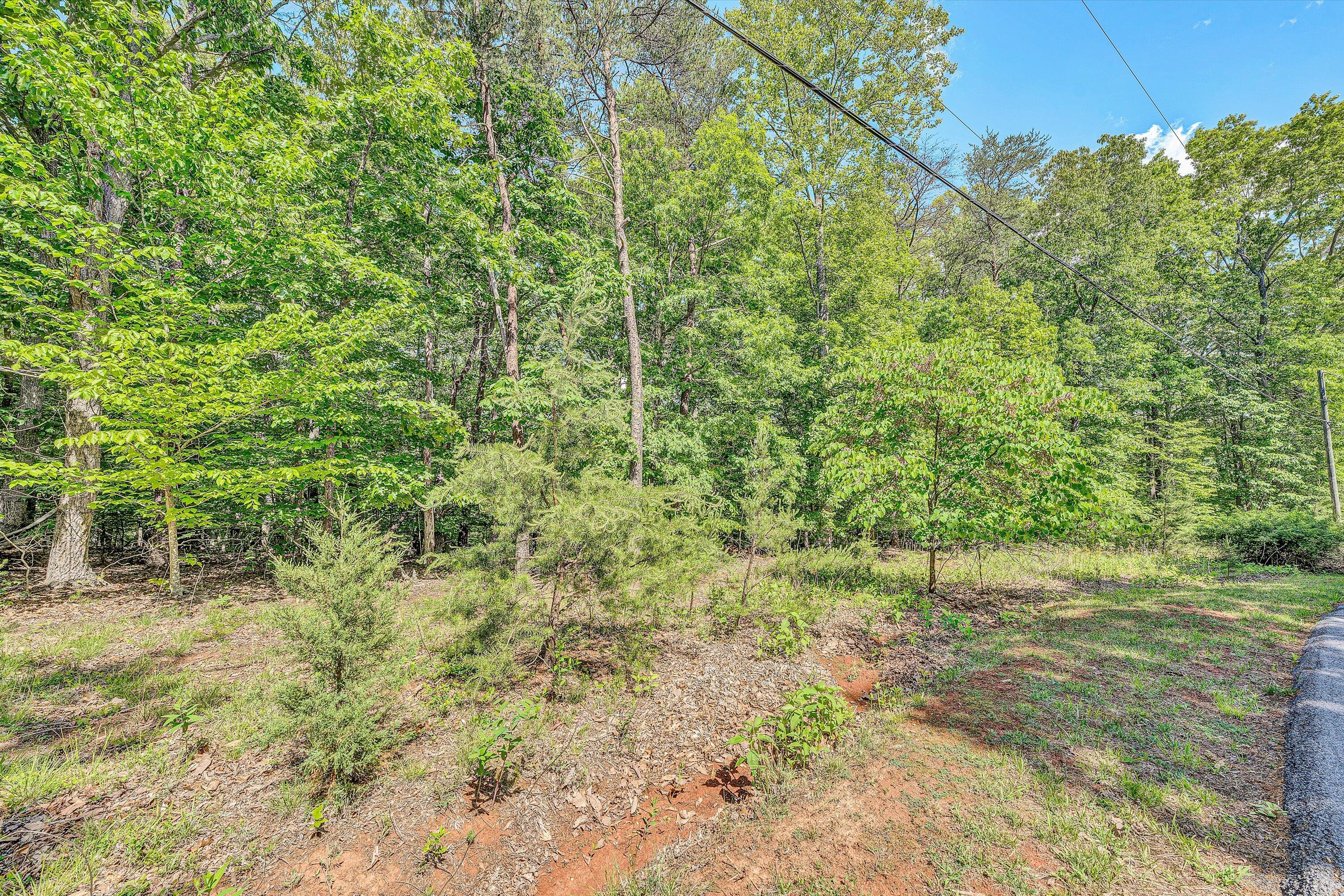 Lot 62 Gap Bridge Rd, Moneta, Virginia image 3