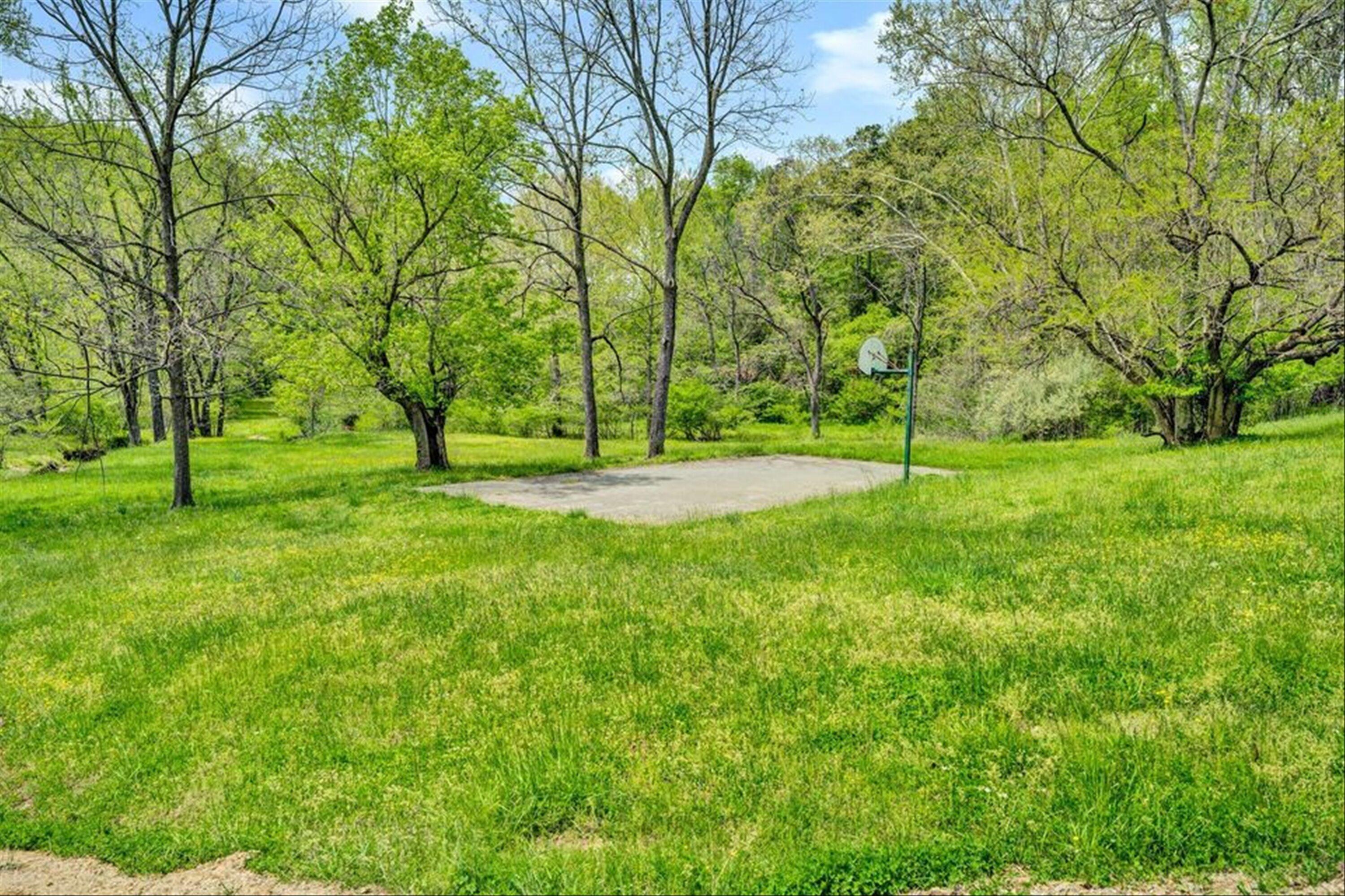 Lot 62 Gap Bridge Rd, Moneta, Virginia image 11