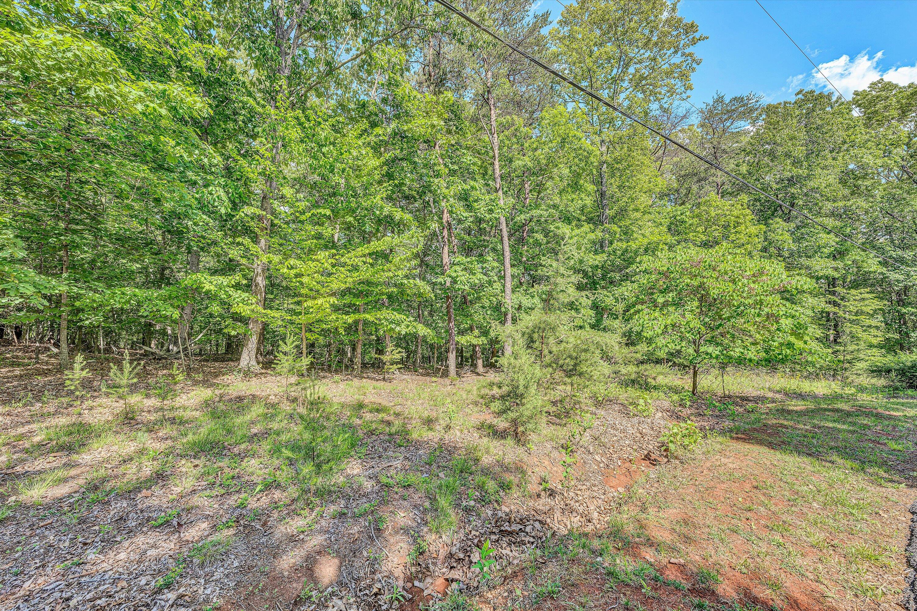 Lot 62 Gap Bridge Rd, Moneta, Virginia image 2
